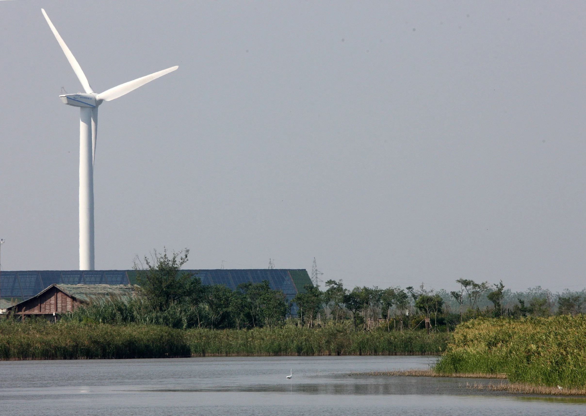 CHONGMING ISLAND - DONGTAN WETLANDS RESERVE - WINDFARMS (5).JPG