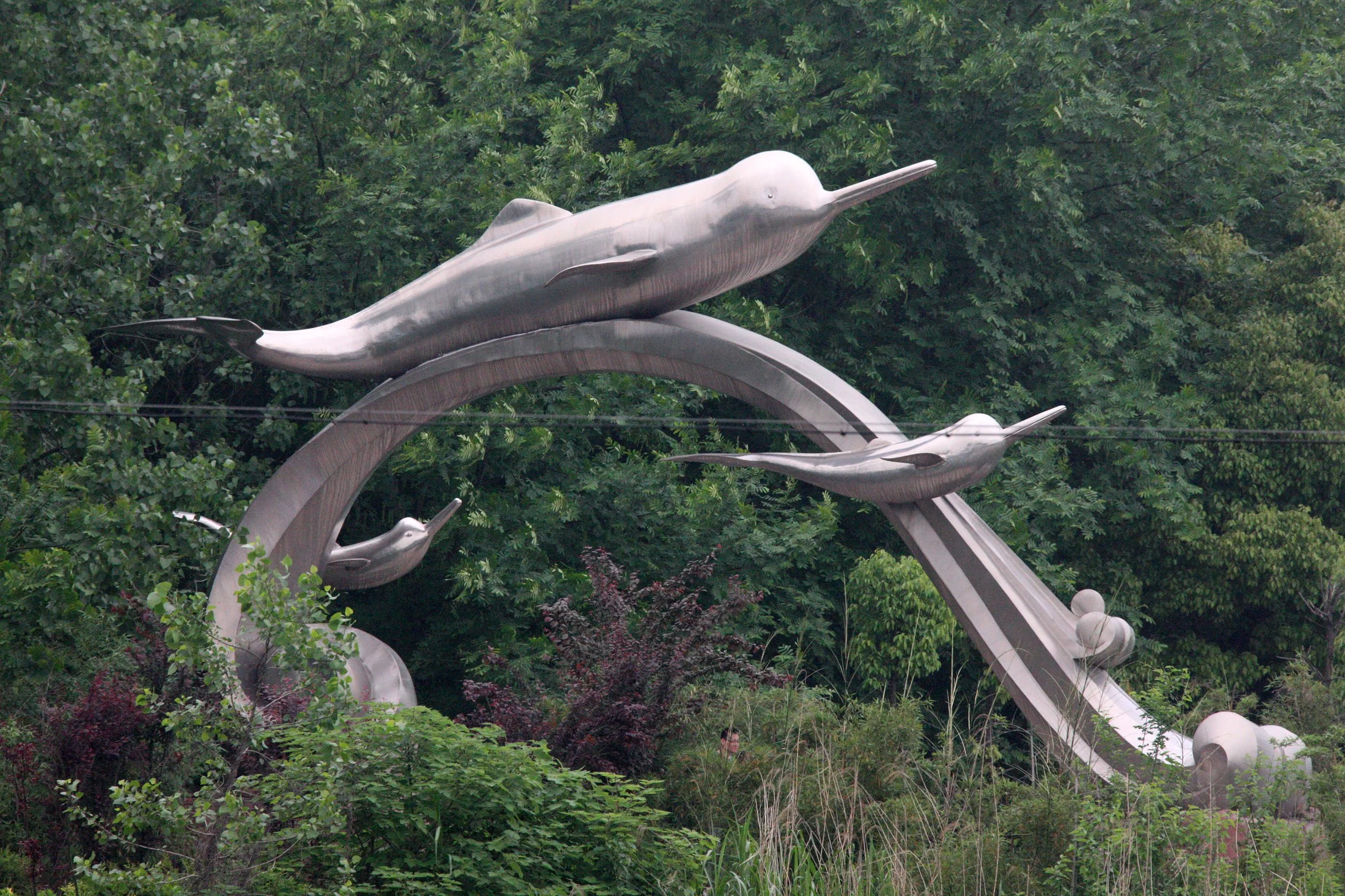 TONGLING RIVER DOLPHIN NATIONAL NATURE RESERVE - YUZHOU ISLAND (34).JPG