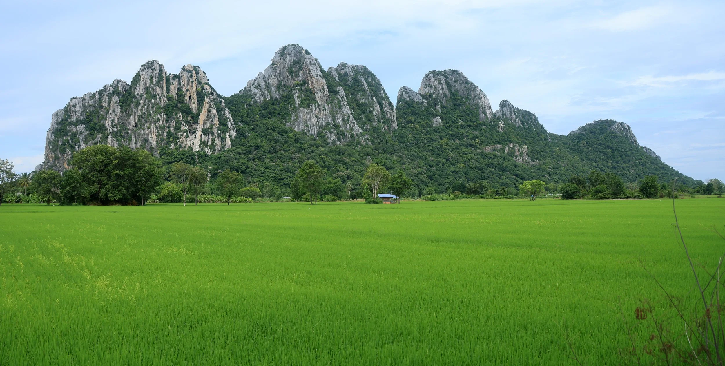 Khao Nor Khao Kaew Bat Viewing Nakhon Sawan (30).jpg