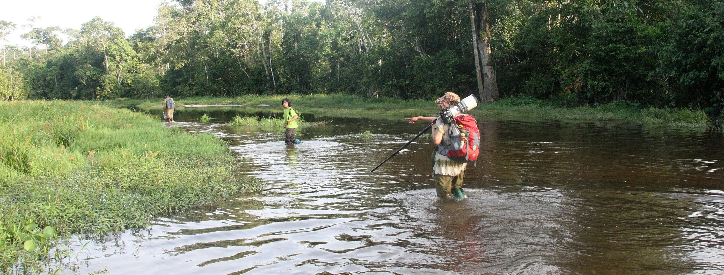DZANGHA NDOKI NATIONAL PARK - CENTRAL AFRICAN REPUBLIC (14).JPG
