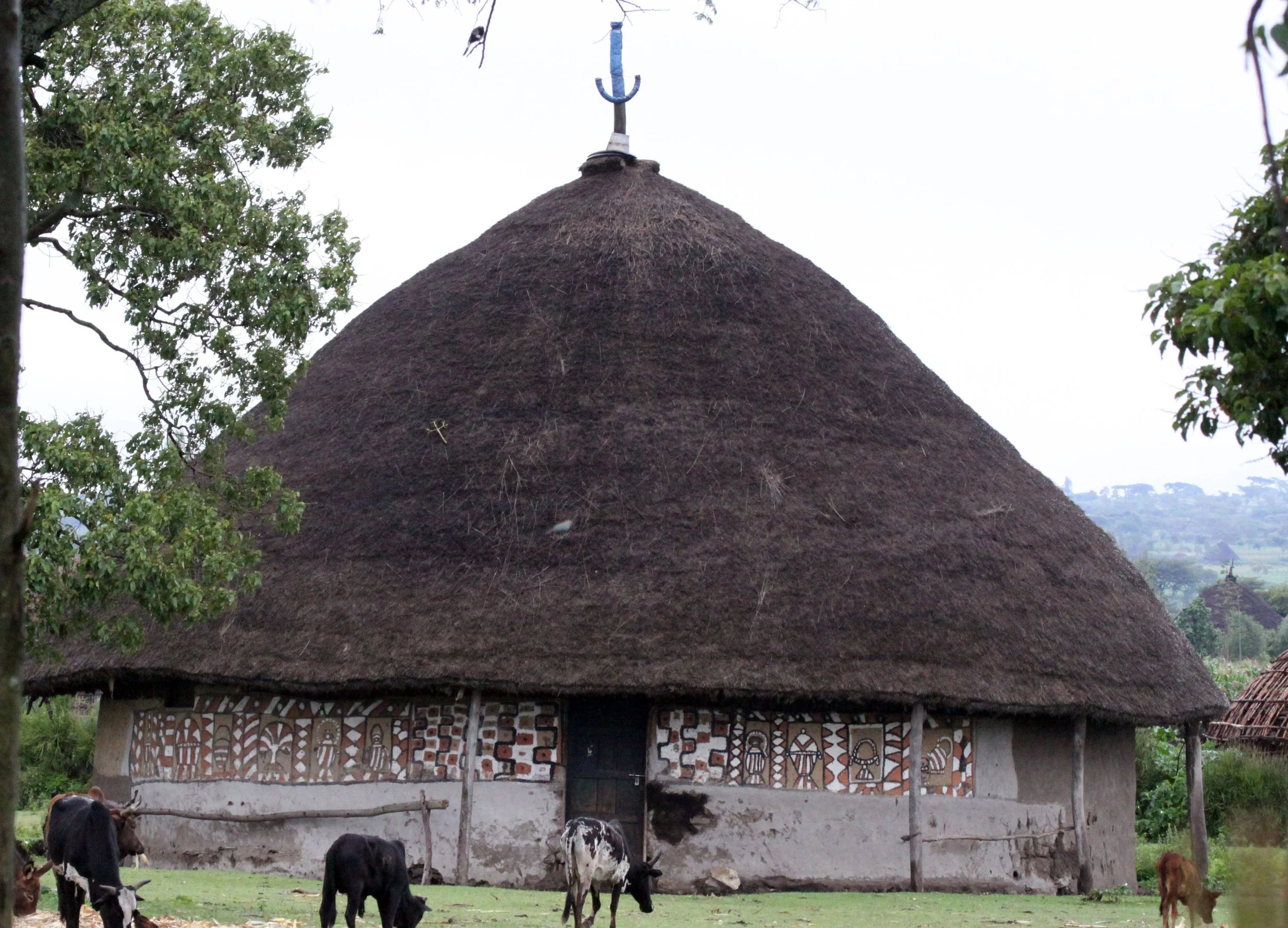 SENKELE SANCTUARY SURROUNDING VILLAGES - ETHIOPIA (3).JPG