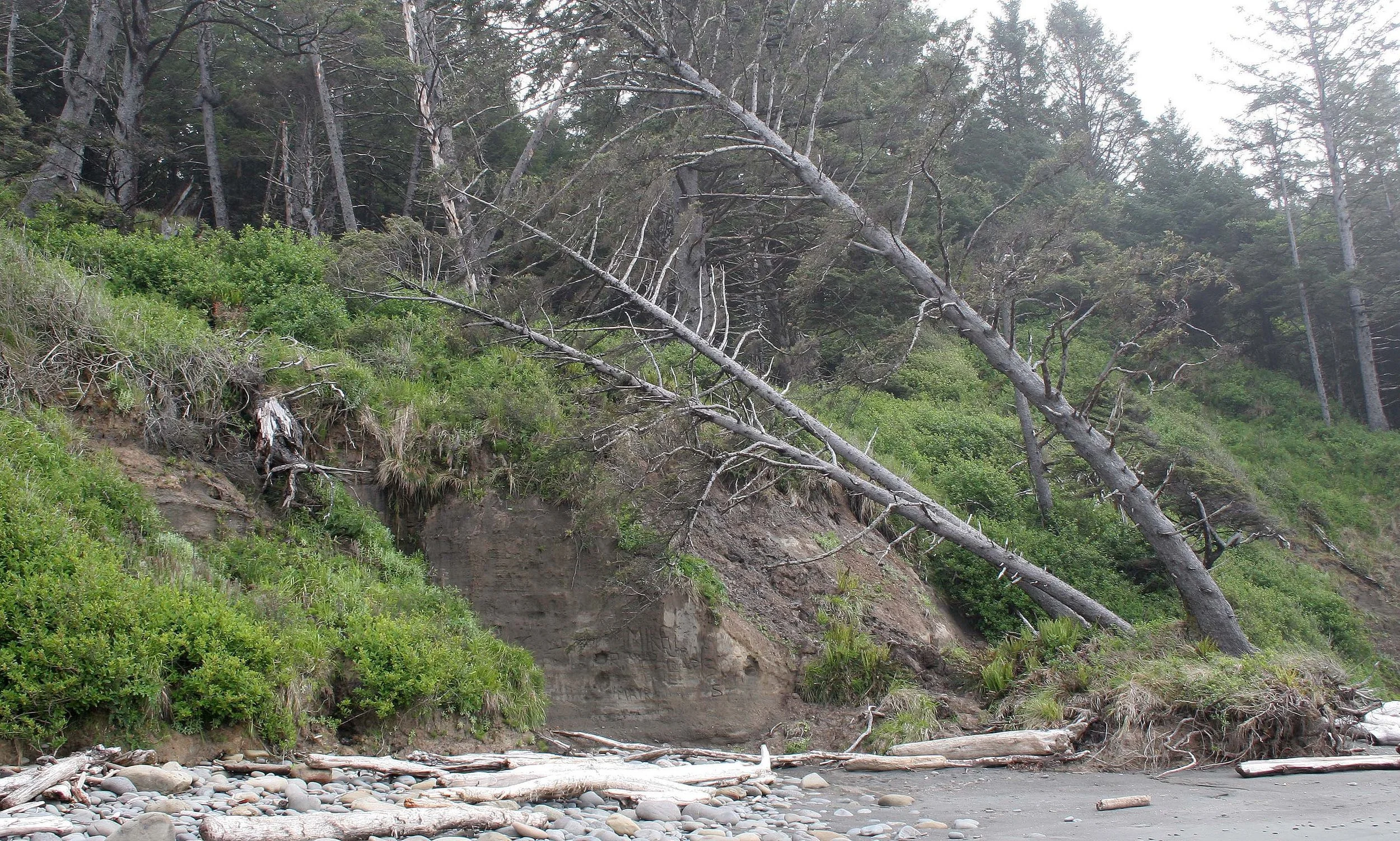 BEACH FOUR  - SANDSTONE FORMING.jpg