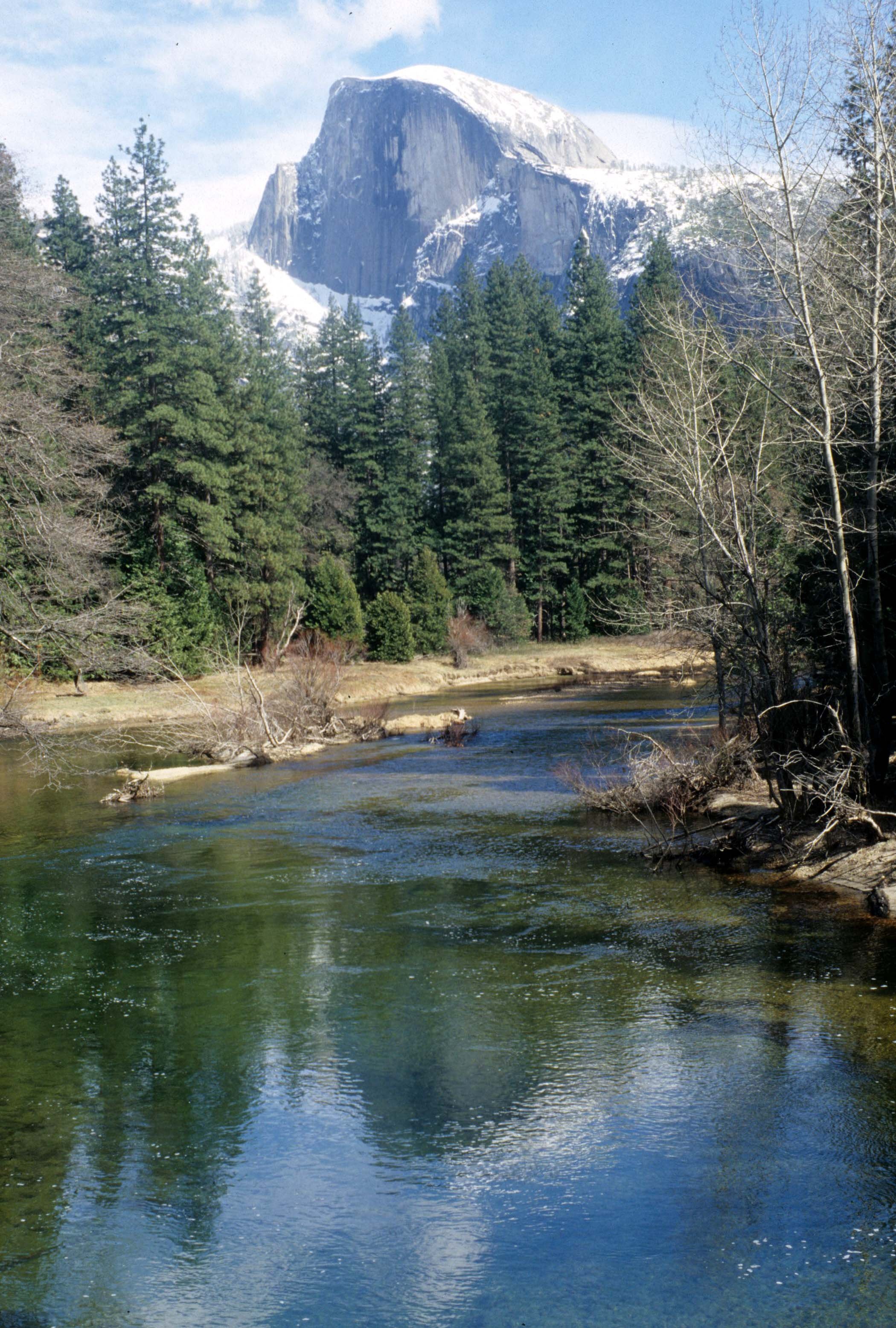 CALIFORNIA - YOSEMITE NP  (31).jpg