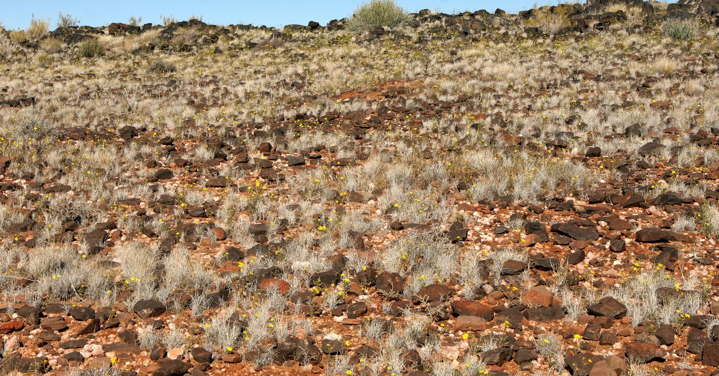 AUGRABIES FALLS NATIONAL PARK SOUTH AFRICA - VIEWS OF THE CANYON AND DESERT (39).JPG