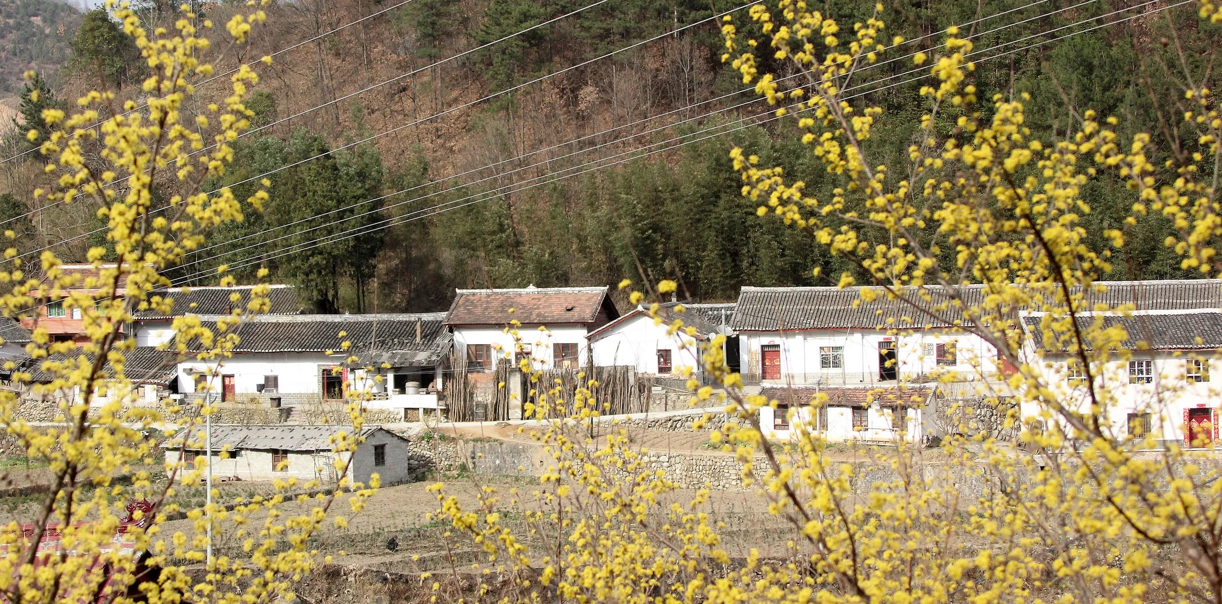 FOPING CITY - SHAANXI PROVINCE (3).JPG