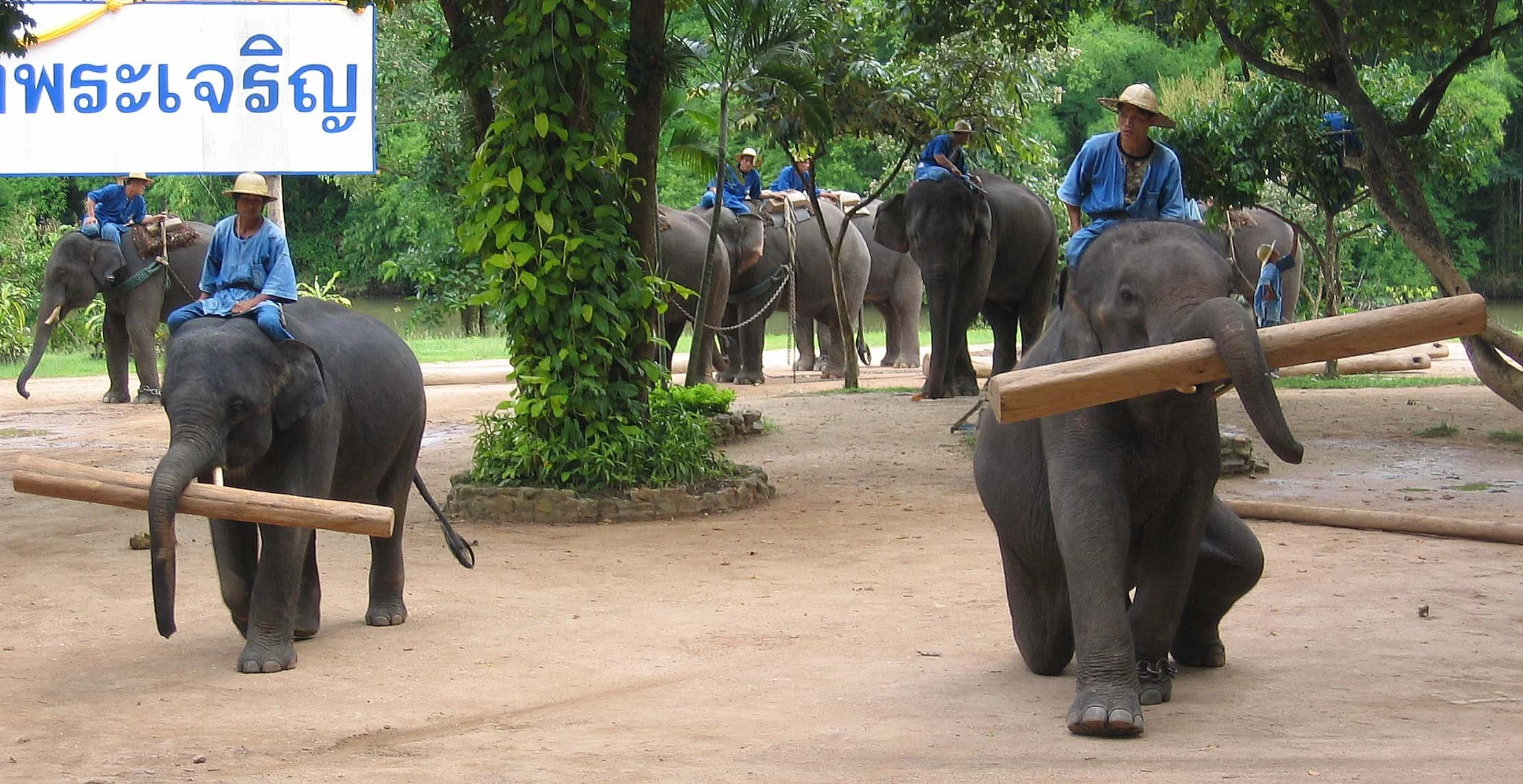 2008 Lampang City & Elephant Center (139).jpg
