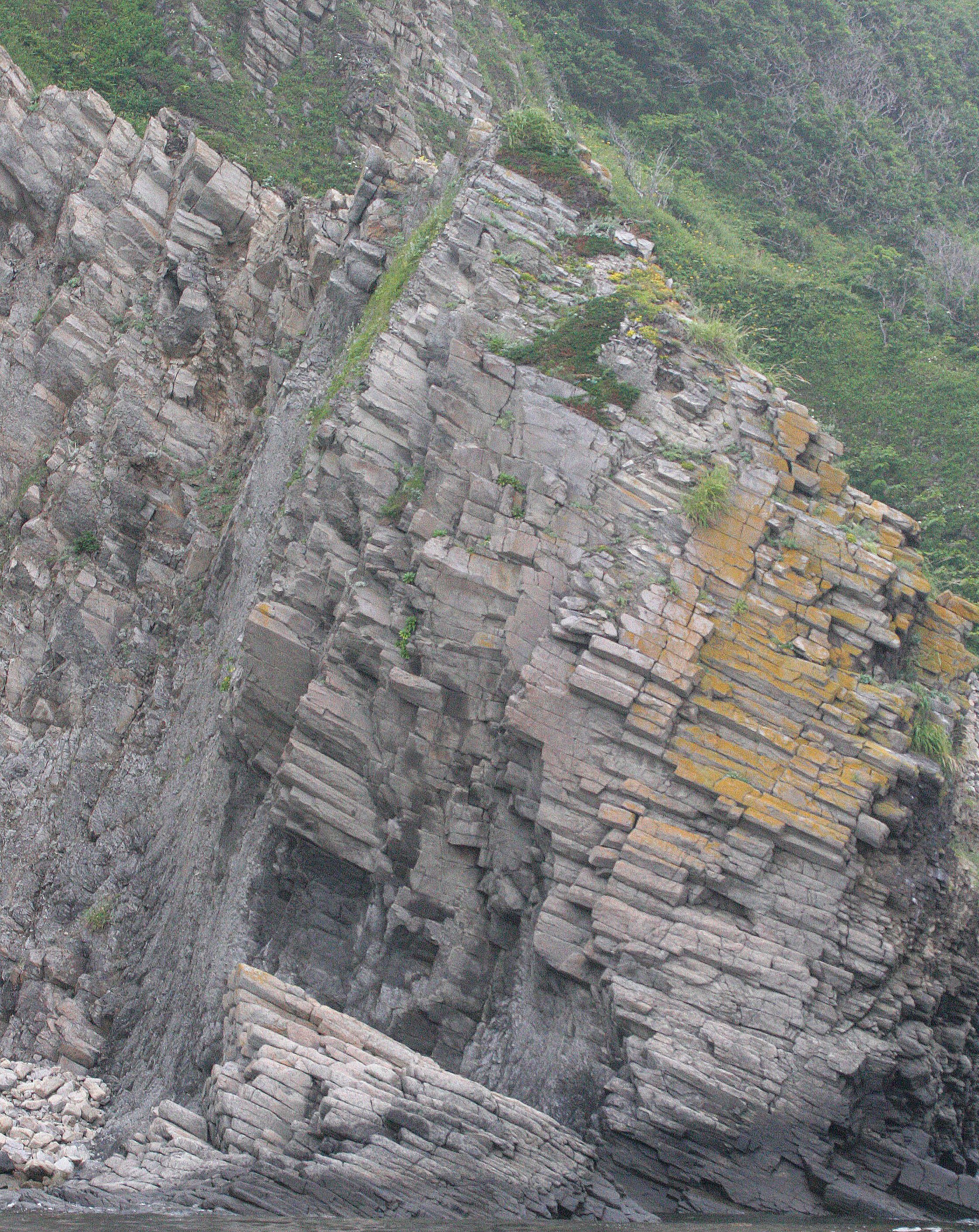 KURIL ISLANDS - FLORA  (51).jpg