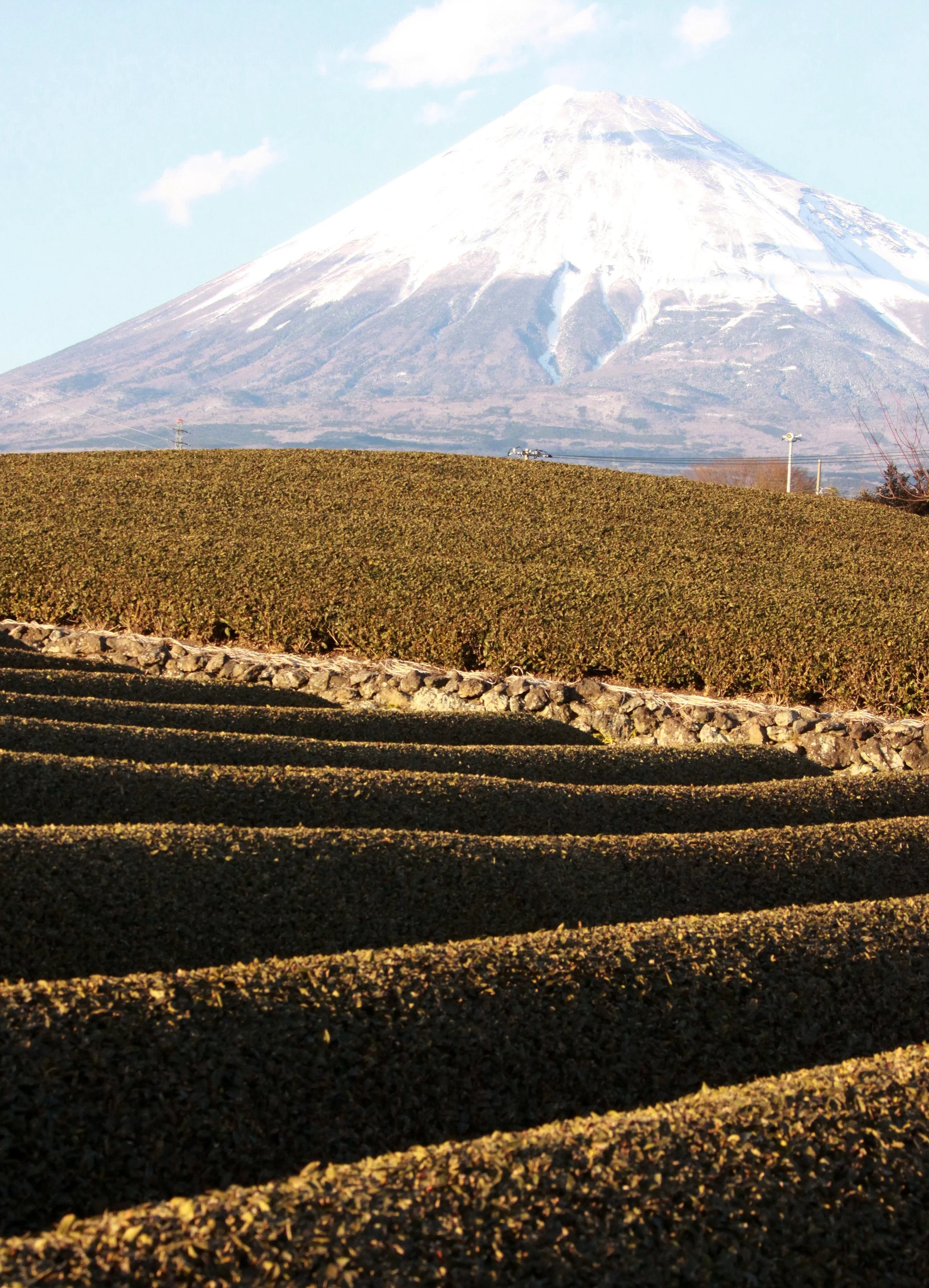 MOUNT FUJY - AS SEEN FROM FUJI CITY JAPAN (5).JPG