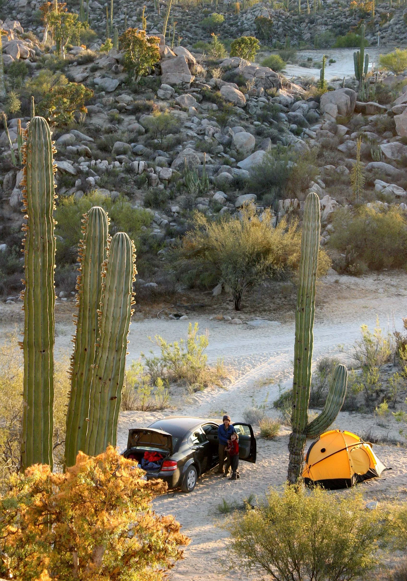 CATAVINA DESERT BAJA MEXICO - CAMPSITE IN THE DESERT.JPG