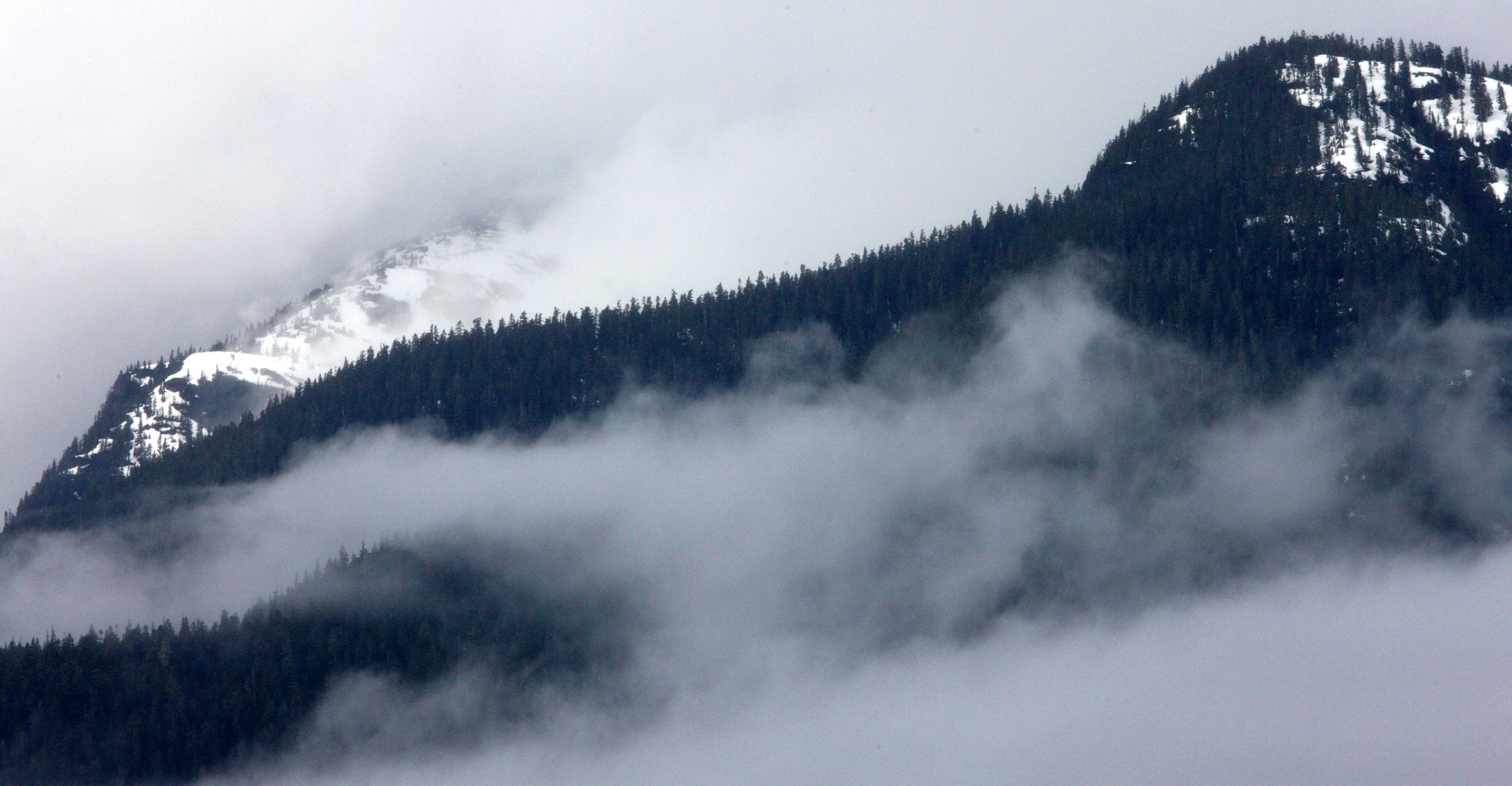 KNIGHT'S INLET BRITISH COLUMBIA (6).JPG