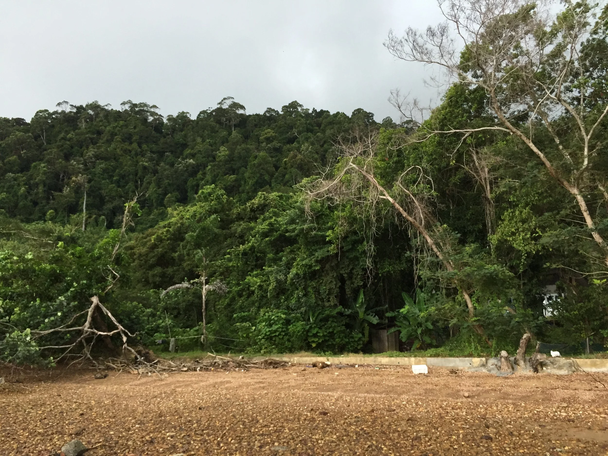 2015 Koh Lanta Garden & Nature (173).JPG