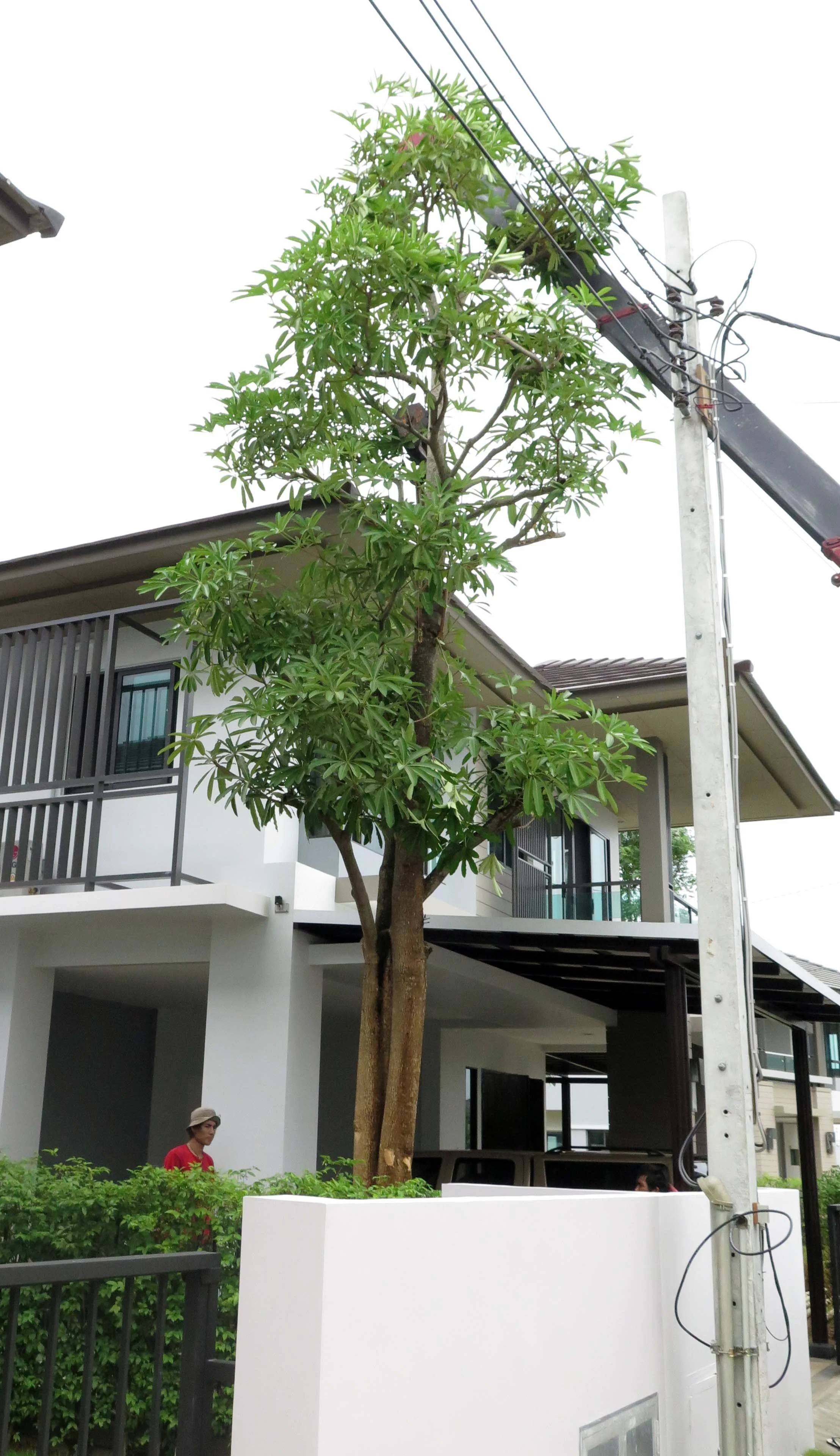 2013 Nonthaburi Setthasiri House and Nonthaburi Neighborhood (37).JPG