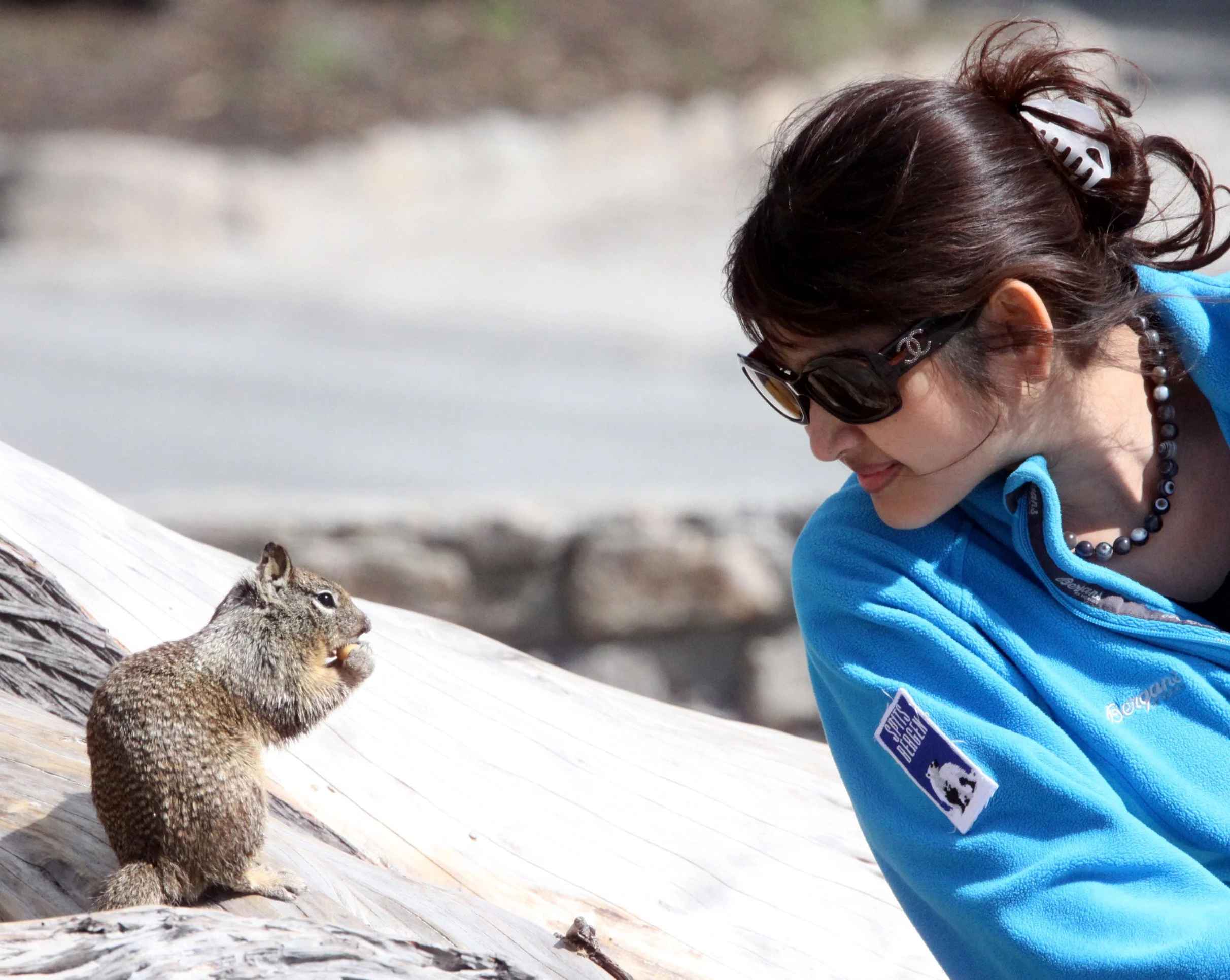 2010-4-1 CARMEL  - ROADTRIP 2010 (2).JPG