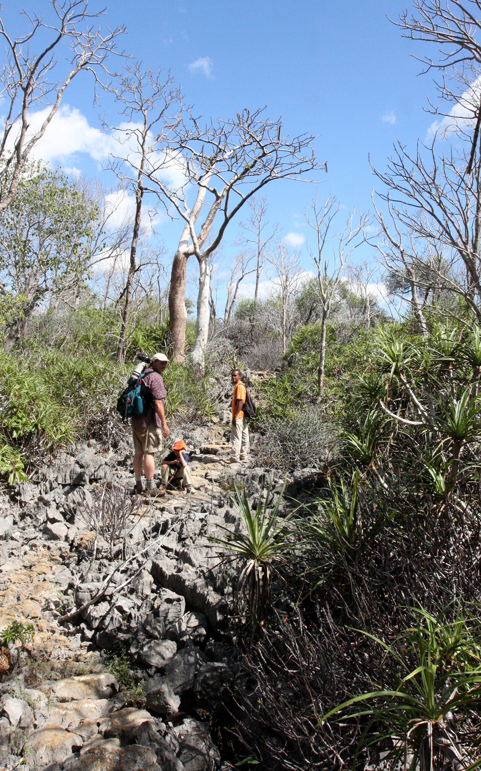 ANKARANA NATIONAL PARK MADAGASCAR - TSINGY FOREST (2).JPG