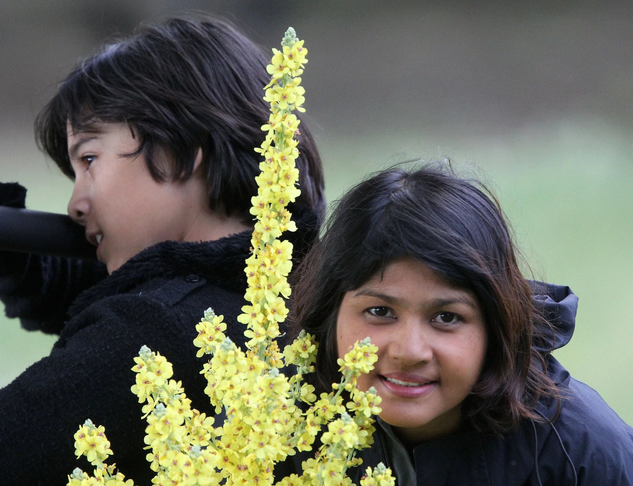 ABRUZZO NATIONAL PARK ITALY (84).JPG
