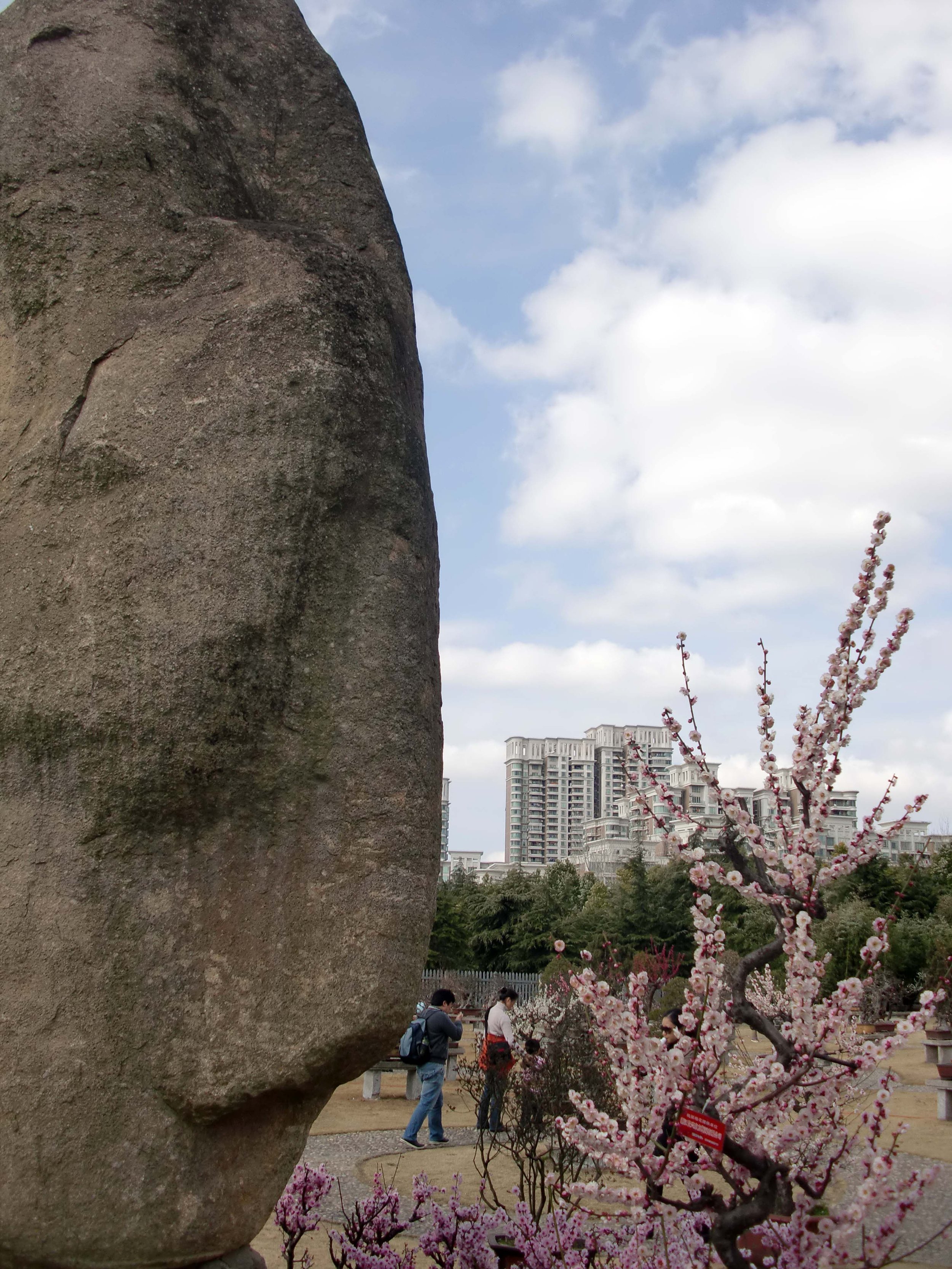 2011-3-13 CENTURY PARK SHANGHAI (34).JPG