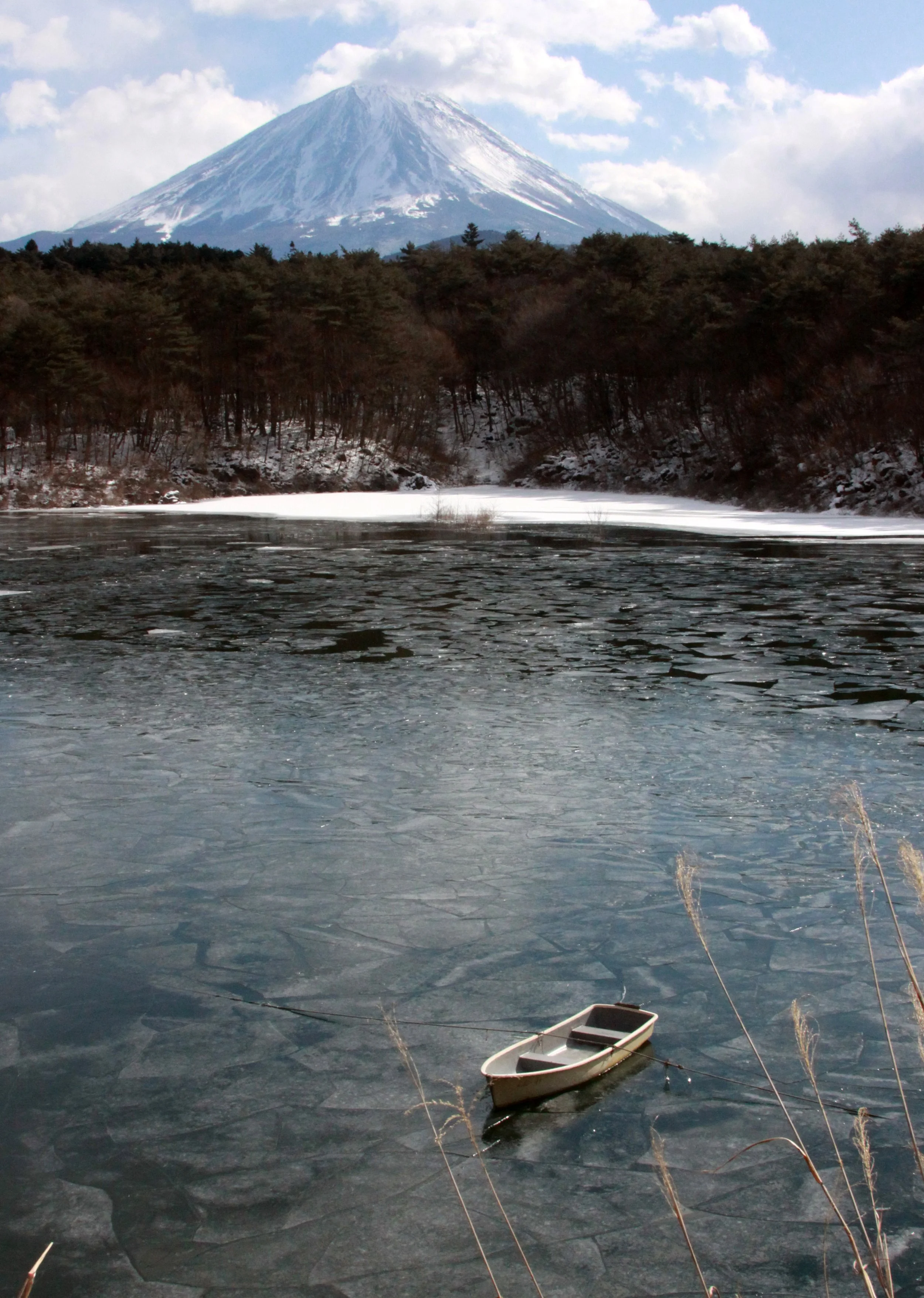 MOUNT FUJI - AS SEEN FROM LAKE SHOJI JAPAN (15).JPG