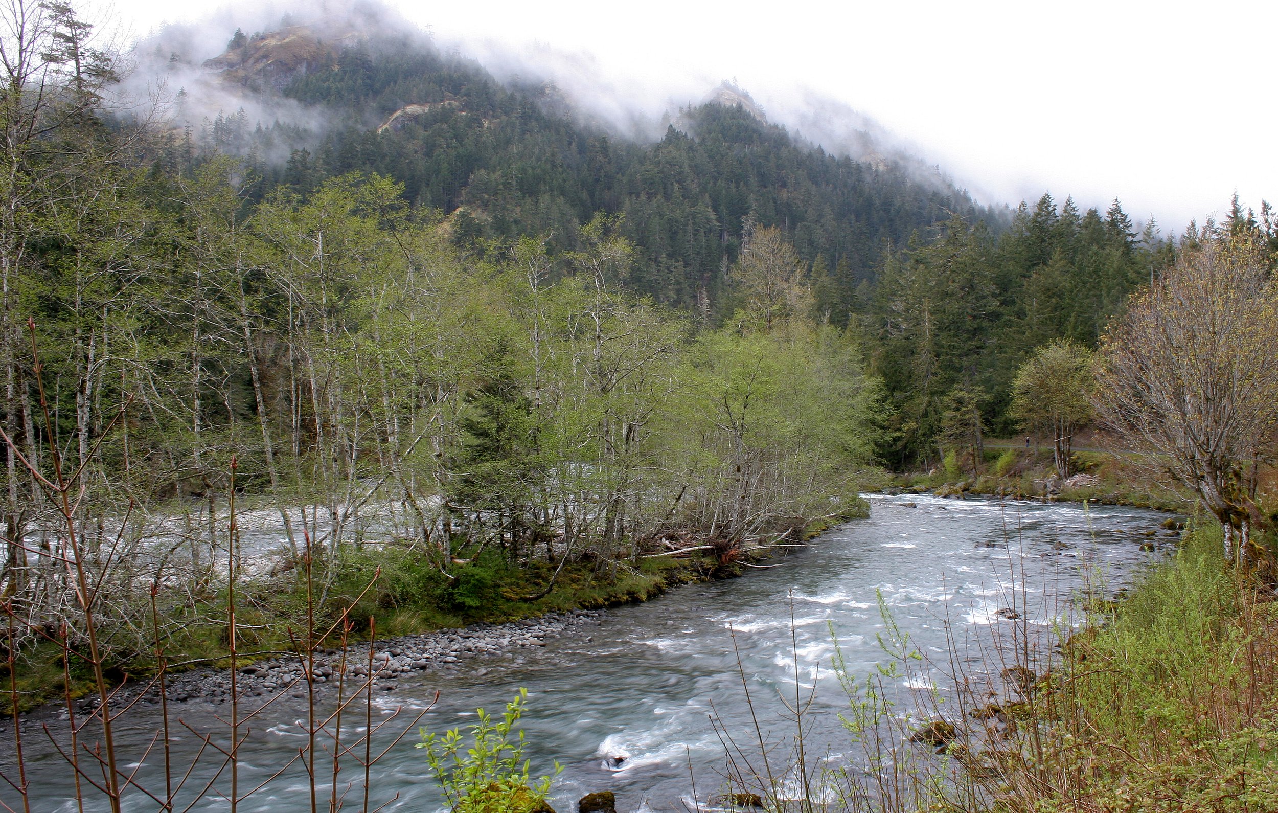 ELWHA RIVER VALLEY (8).JPG