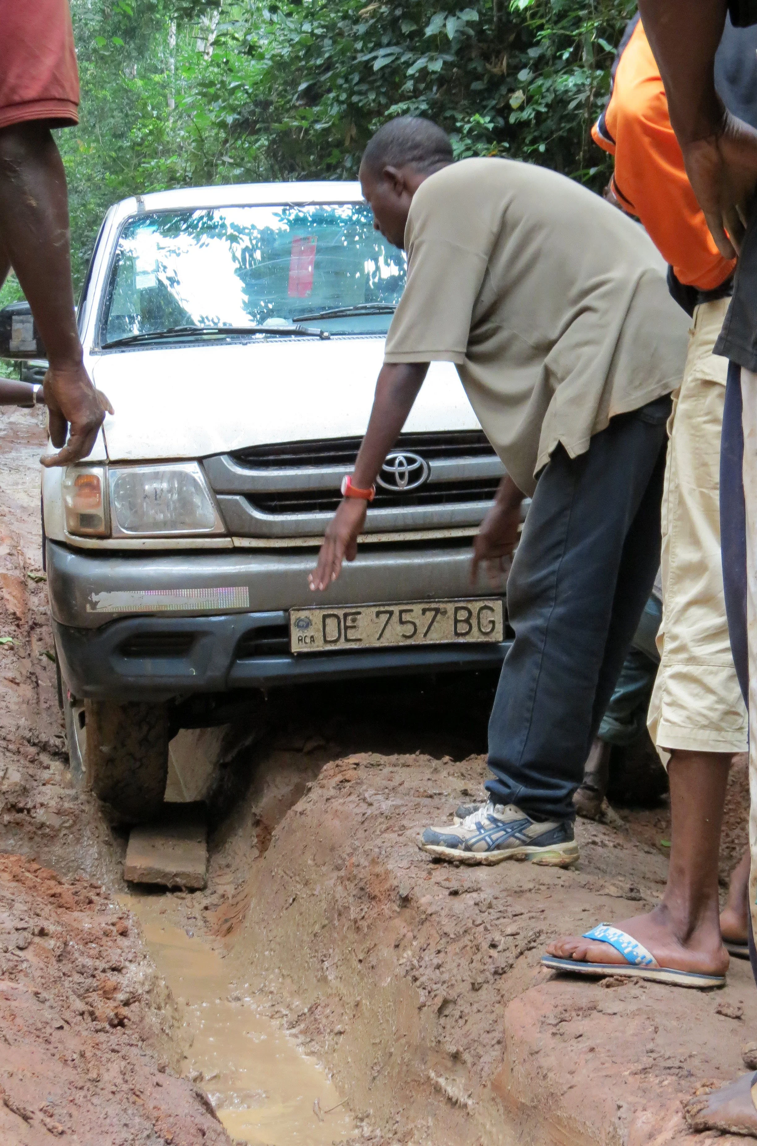 DZANGA NDOKI NATIONAL PARK  - CENTRAL AFRICAN REPUBLIC (18).JPG