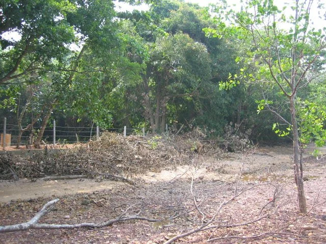 KOH LANTA - PROPERTY - 2005 (27).jpg