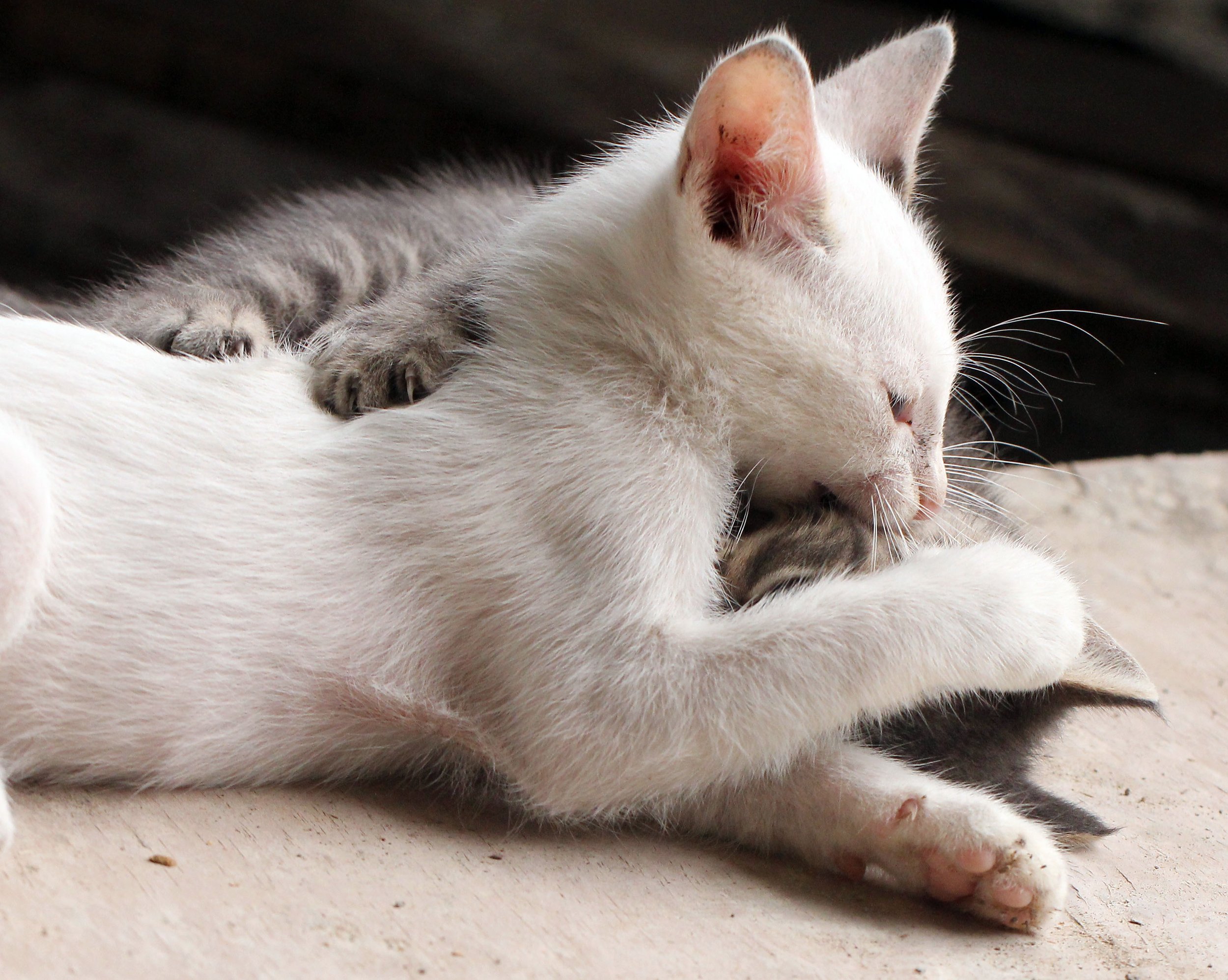 2015 Koh Lanta October Break Trip  (271).JPG