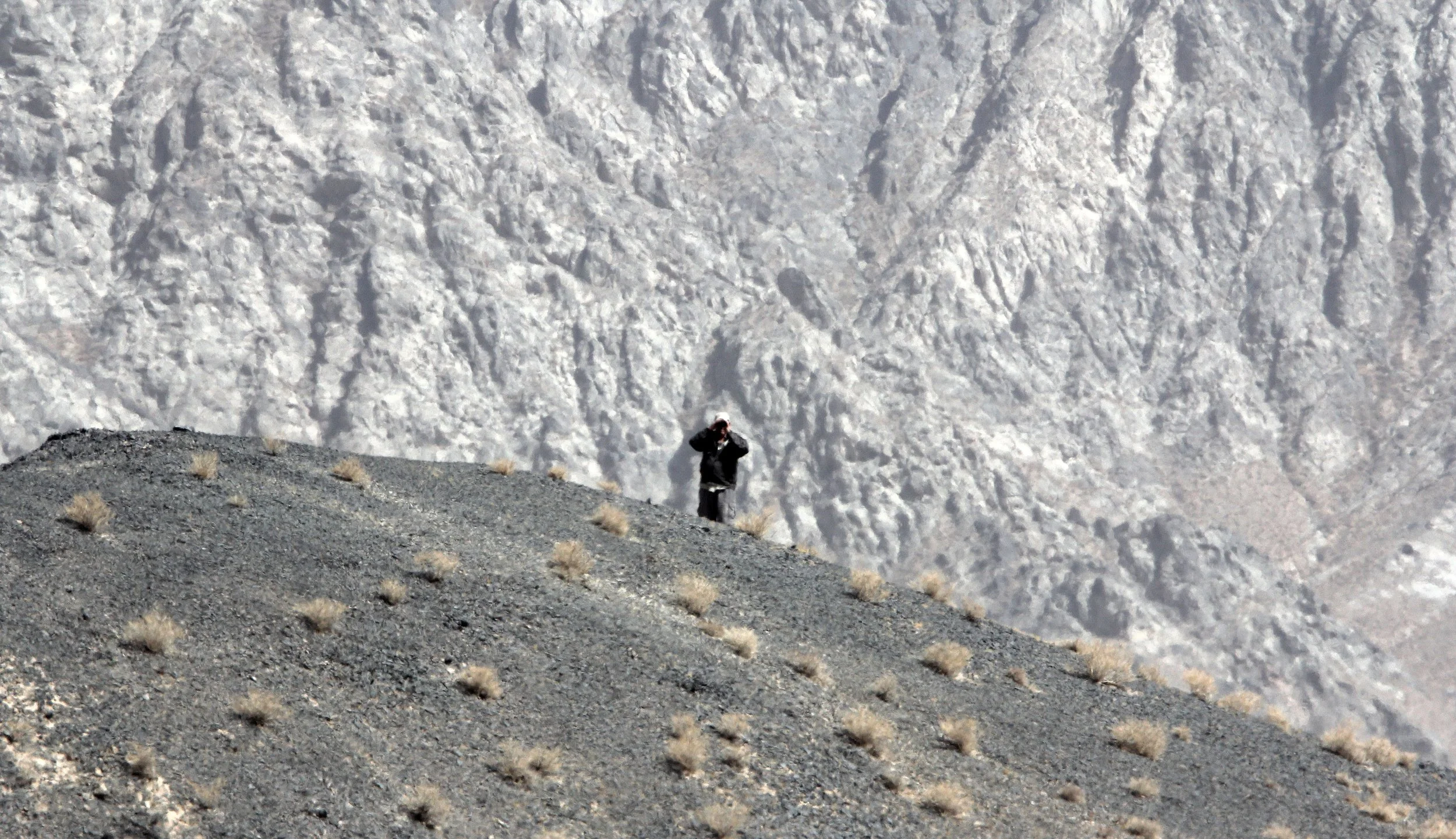 LOP NUR WILD BACTRIAN CAMEL RESERVE - XINJIANG CHINA (154).JPG