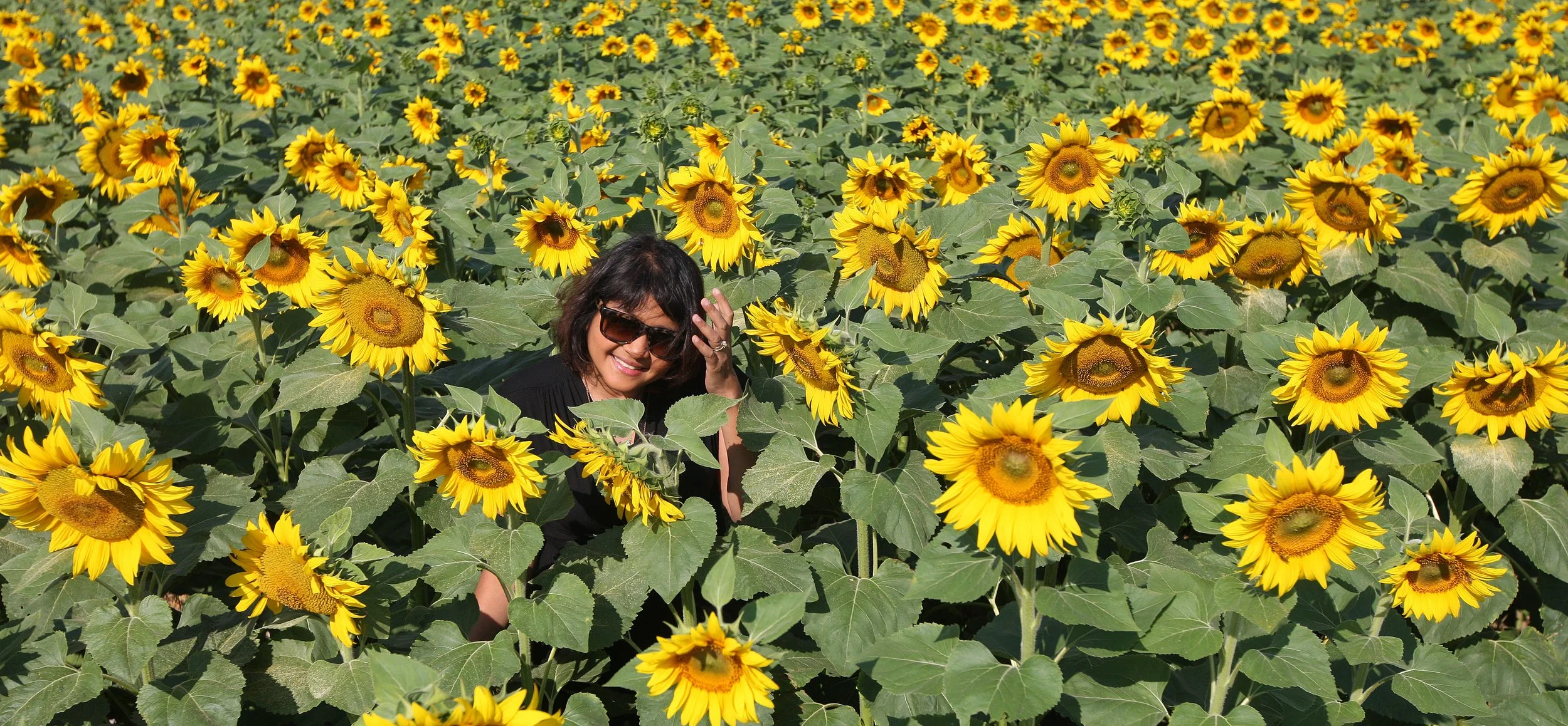 VERCORS NATIONAL PARK FRANCE (66).JPG