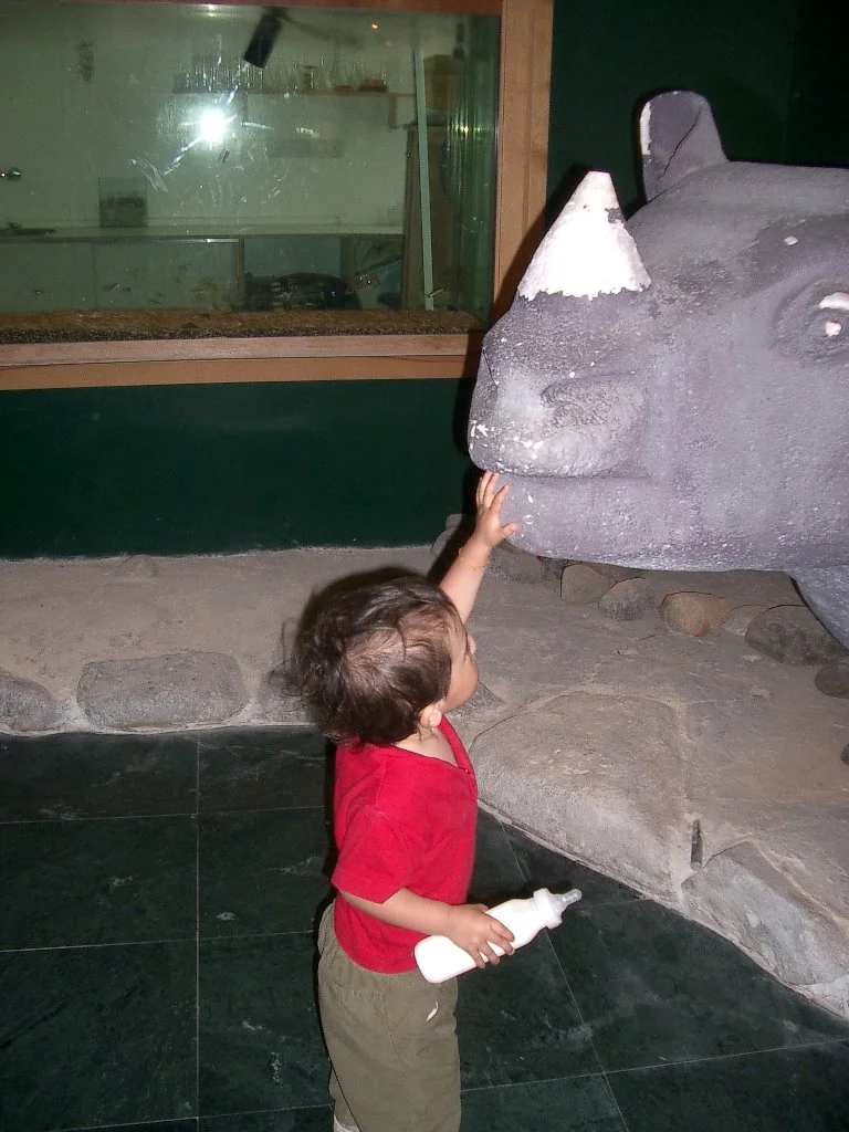 SHAUMARI CAPTIVE BREEDING CENTER.JPG