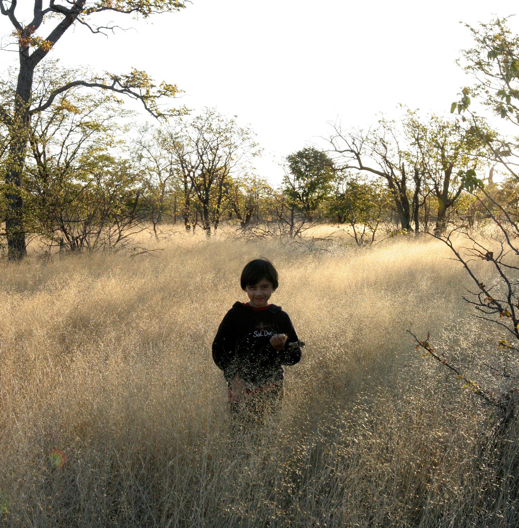 BOTSWANA -KALAHARI DESERT PLANET BAOBAB BOTSWANA (8).JPG