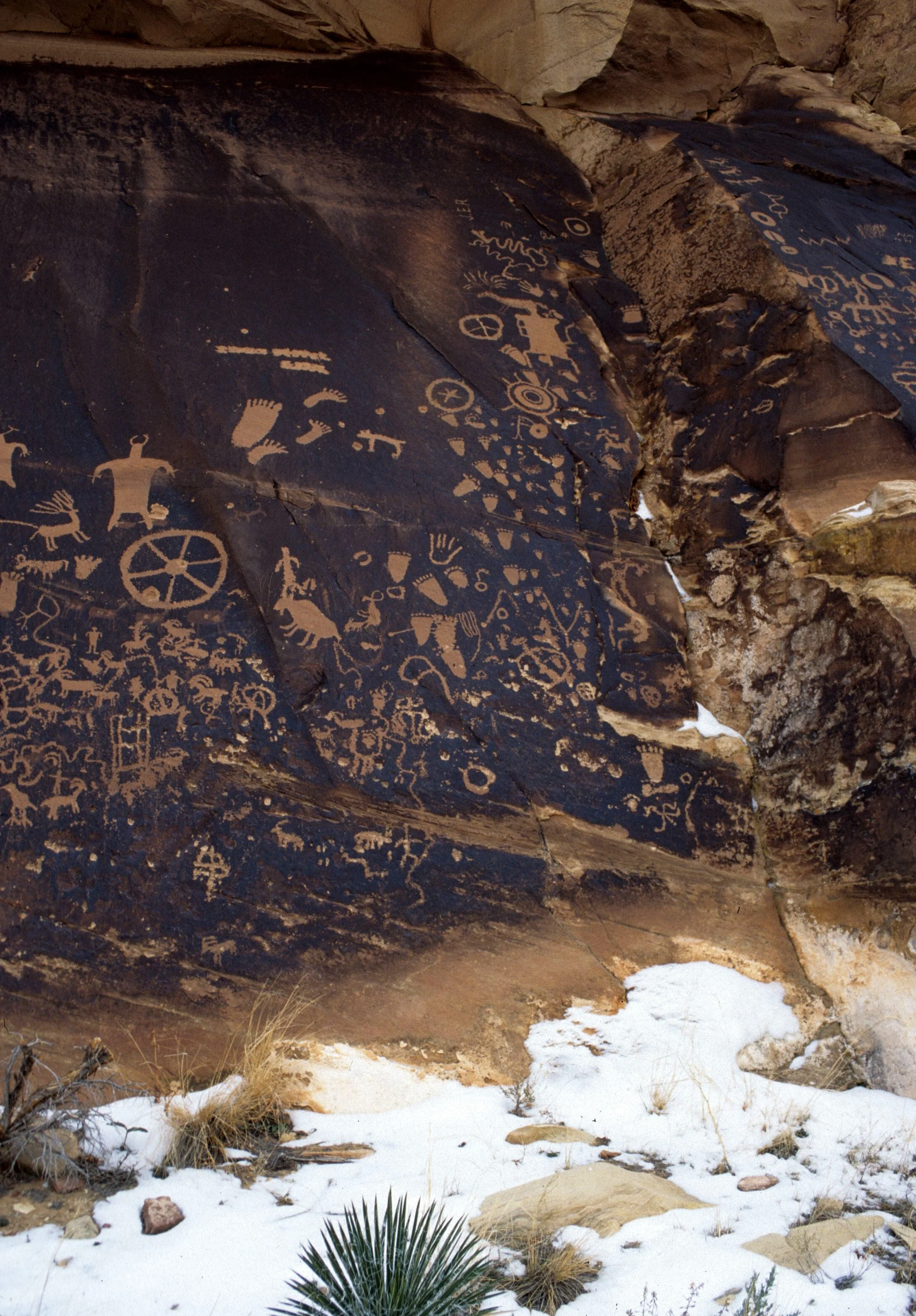UTAH - CANYONLANDS NP - NEWSPAPER ROCK PETROGYLPHS.jpg
