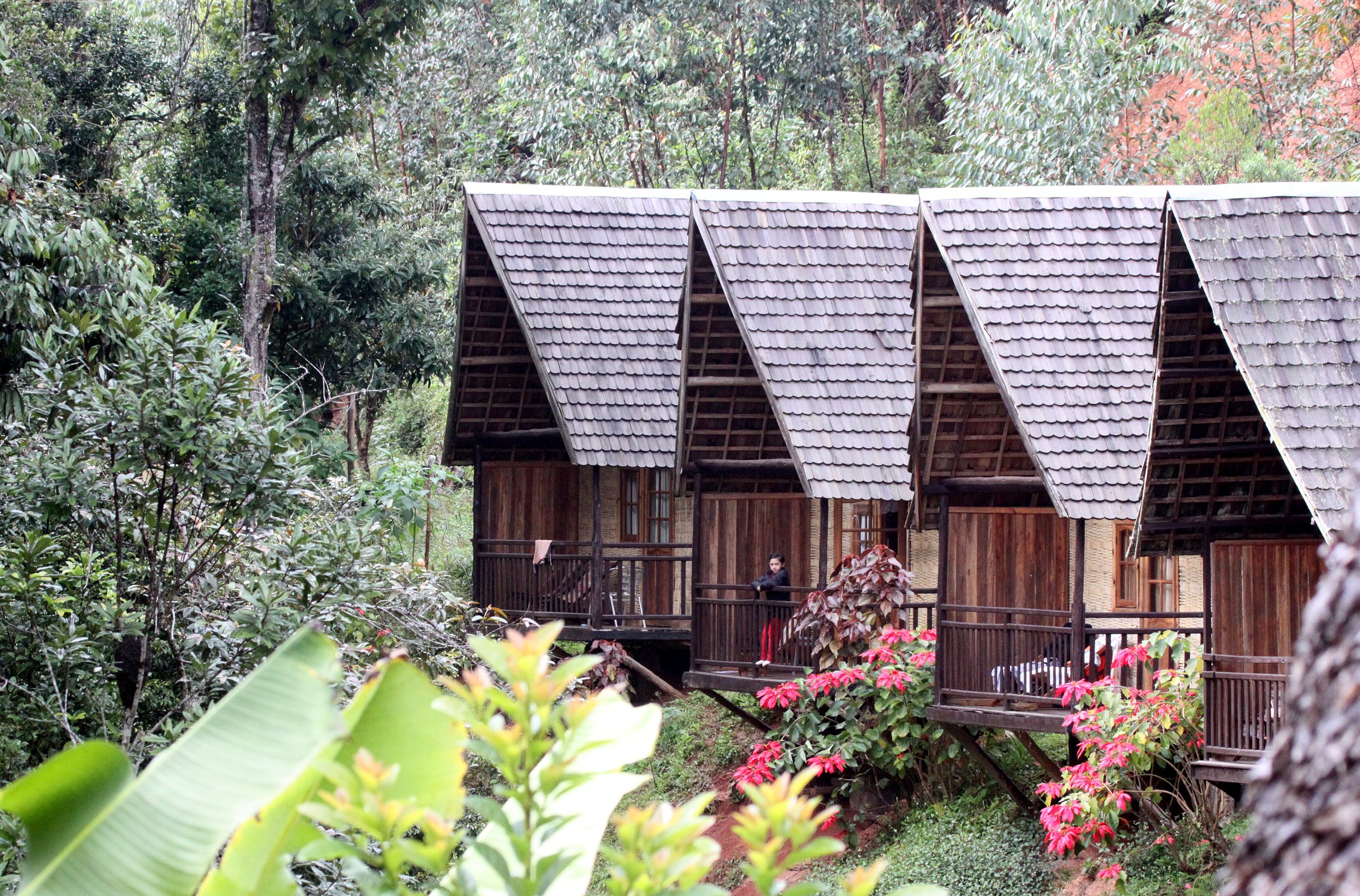 MANTADIA - FEON NY'ALA LODGE.JPG