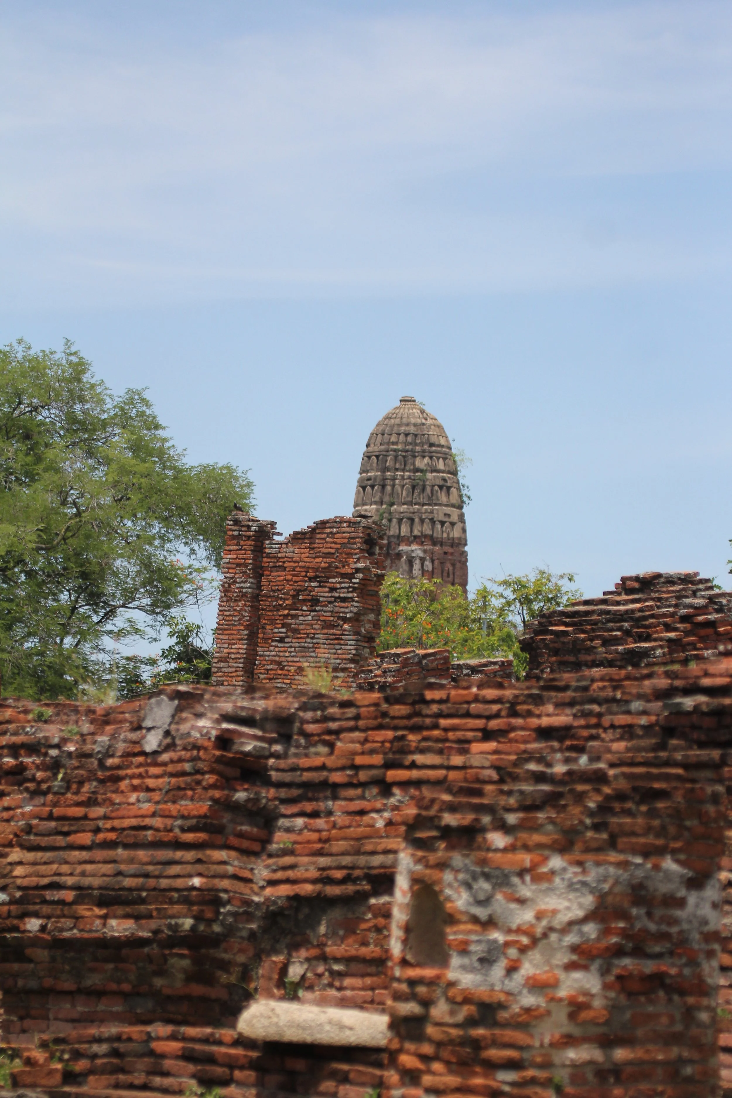 2020 - Ayutthaya Cokie's Pictures (146).JPG