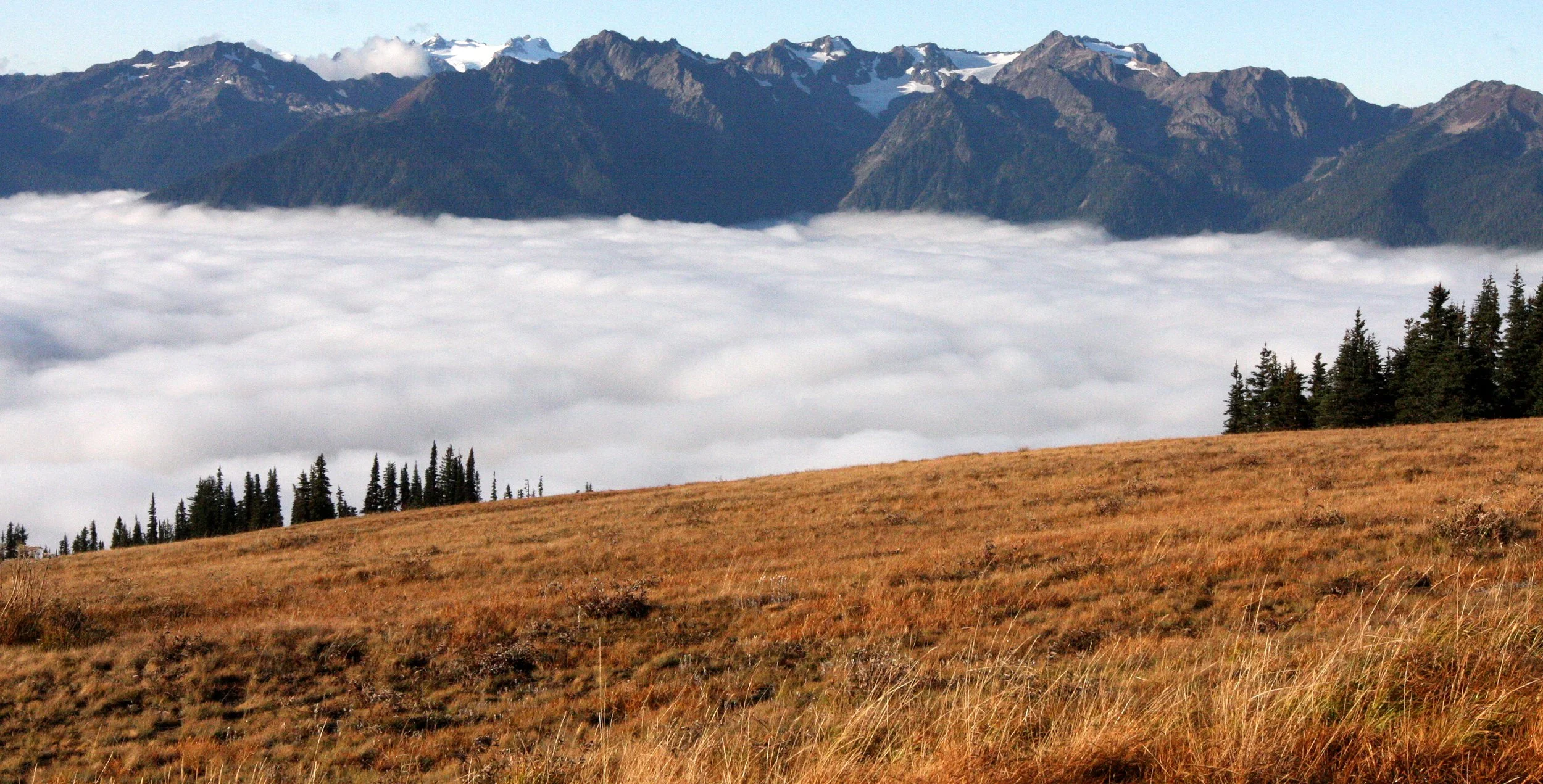 HURRICANE RIDGE - VIEWS OF CLOUDS RESEMBLING GLACIERS (12).JPG