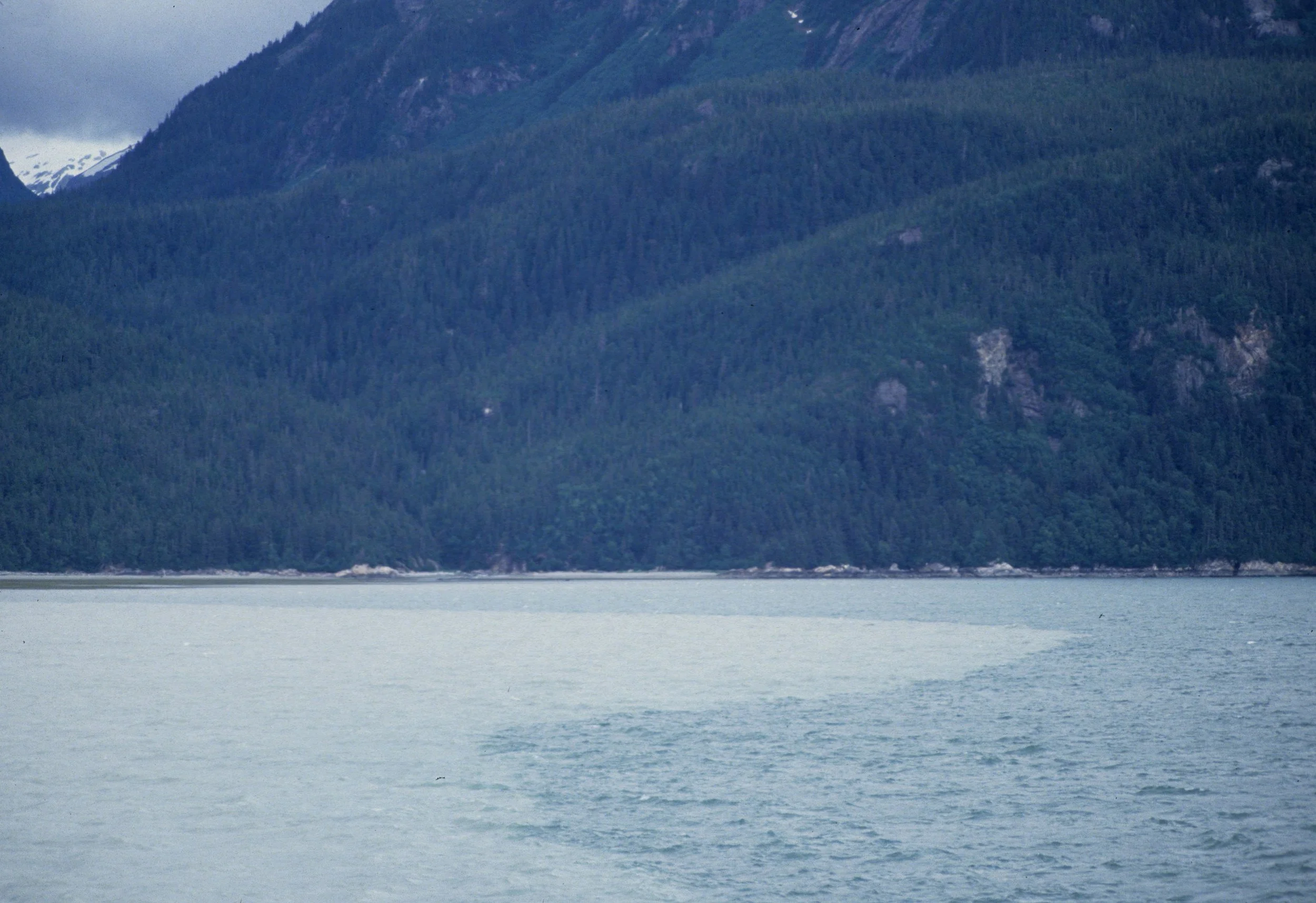 ALASKA - JUNEAU - MENDELSON GLACIER C.jpg