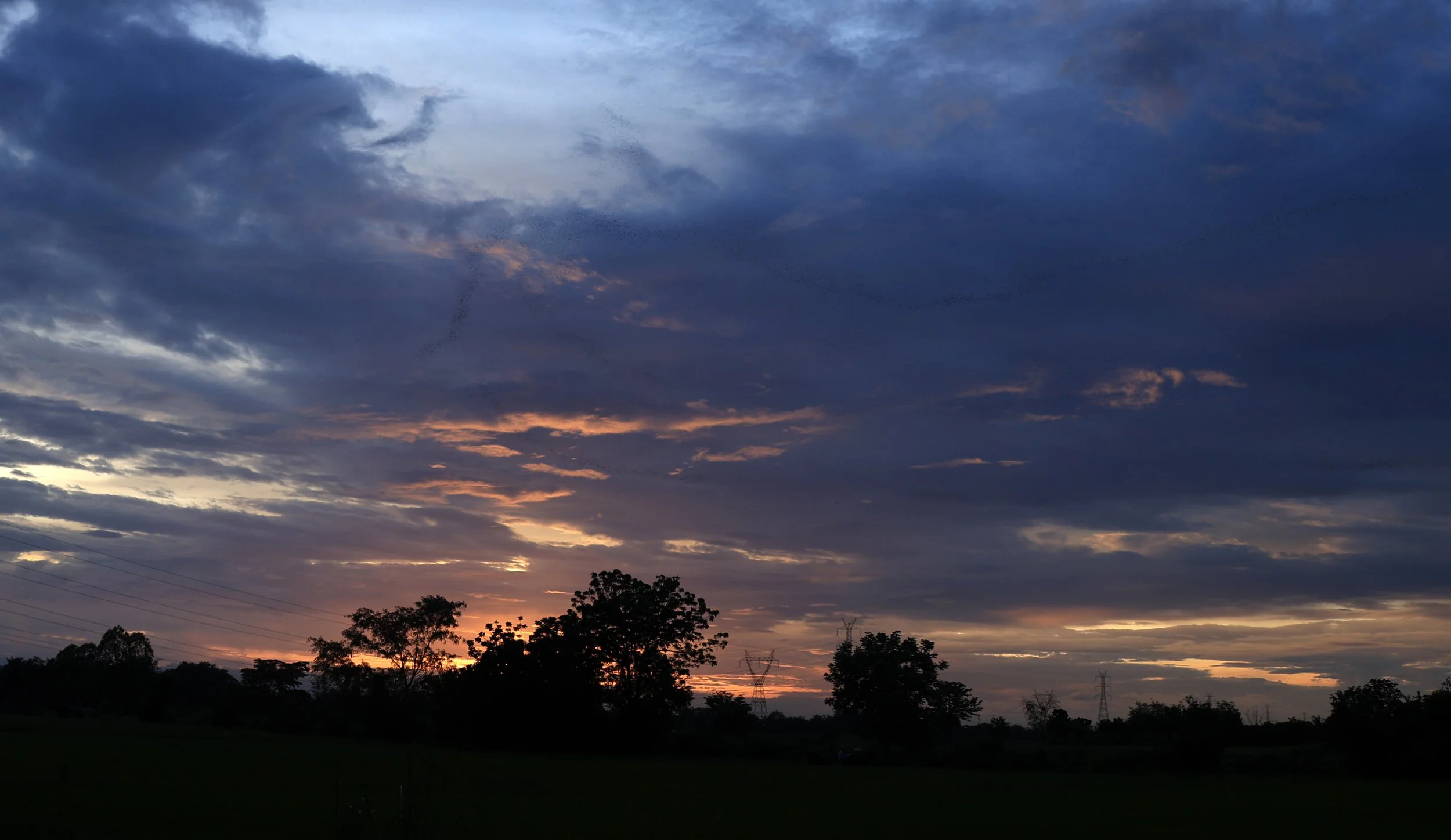 Khao Nor Khao Kaew Bat Viewing Nakhon Sawan (61).jpg