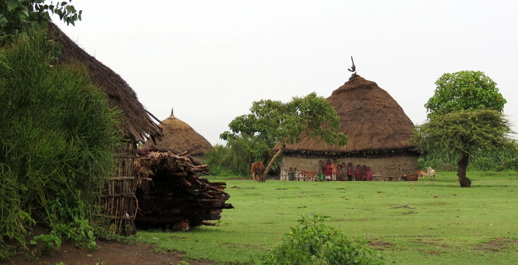 SENKELE SANCTUARY ETHIOPIA (75).JPG