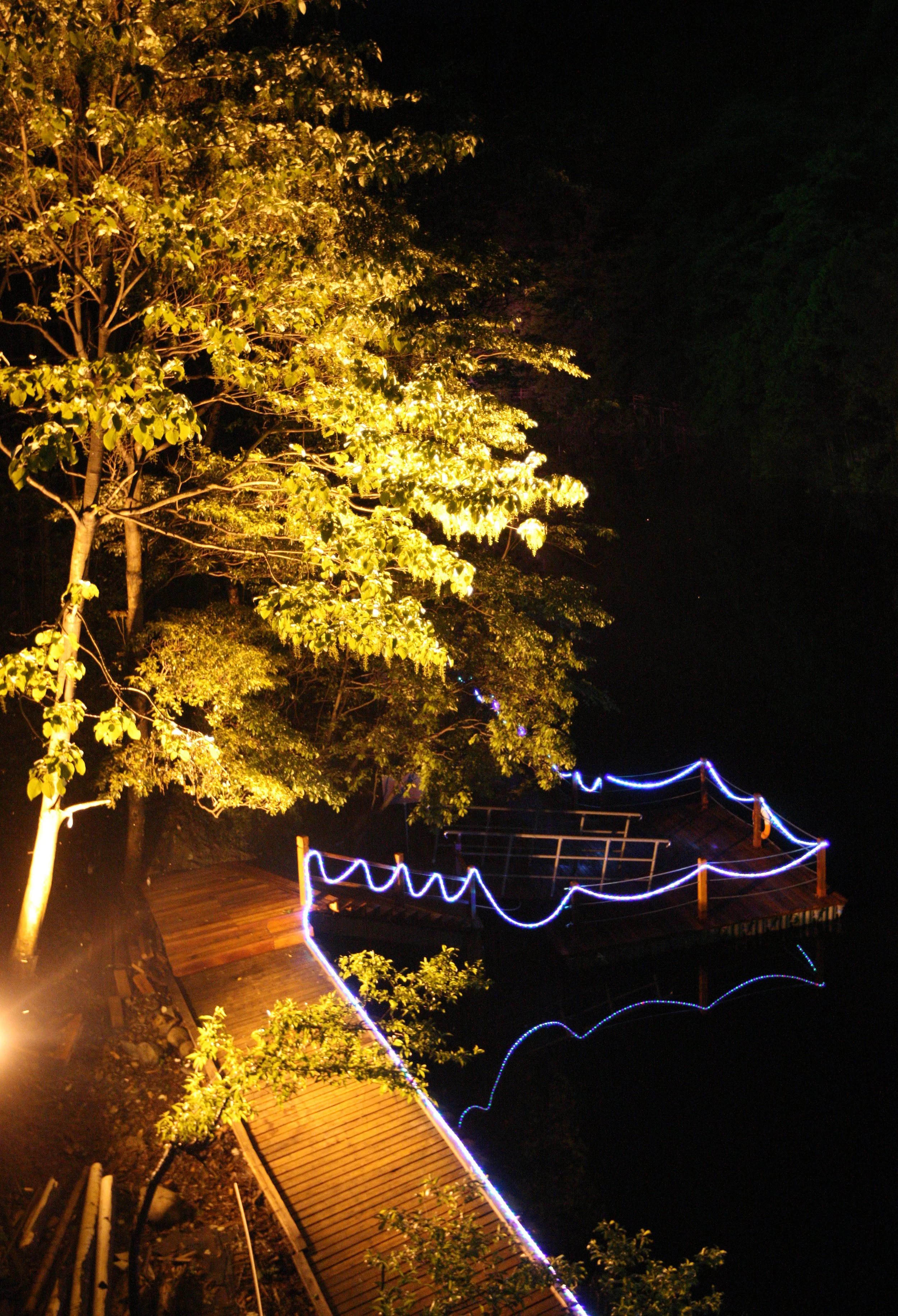 GUNIUJIANG NATURE RESERVE - ANHUI PROVINCE CHINA (26).JPG