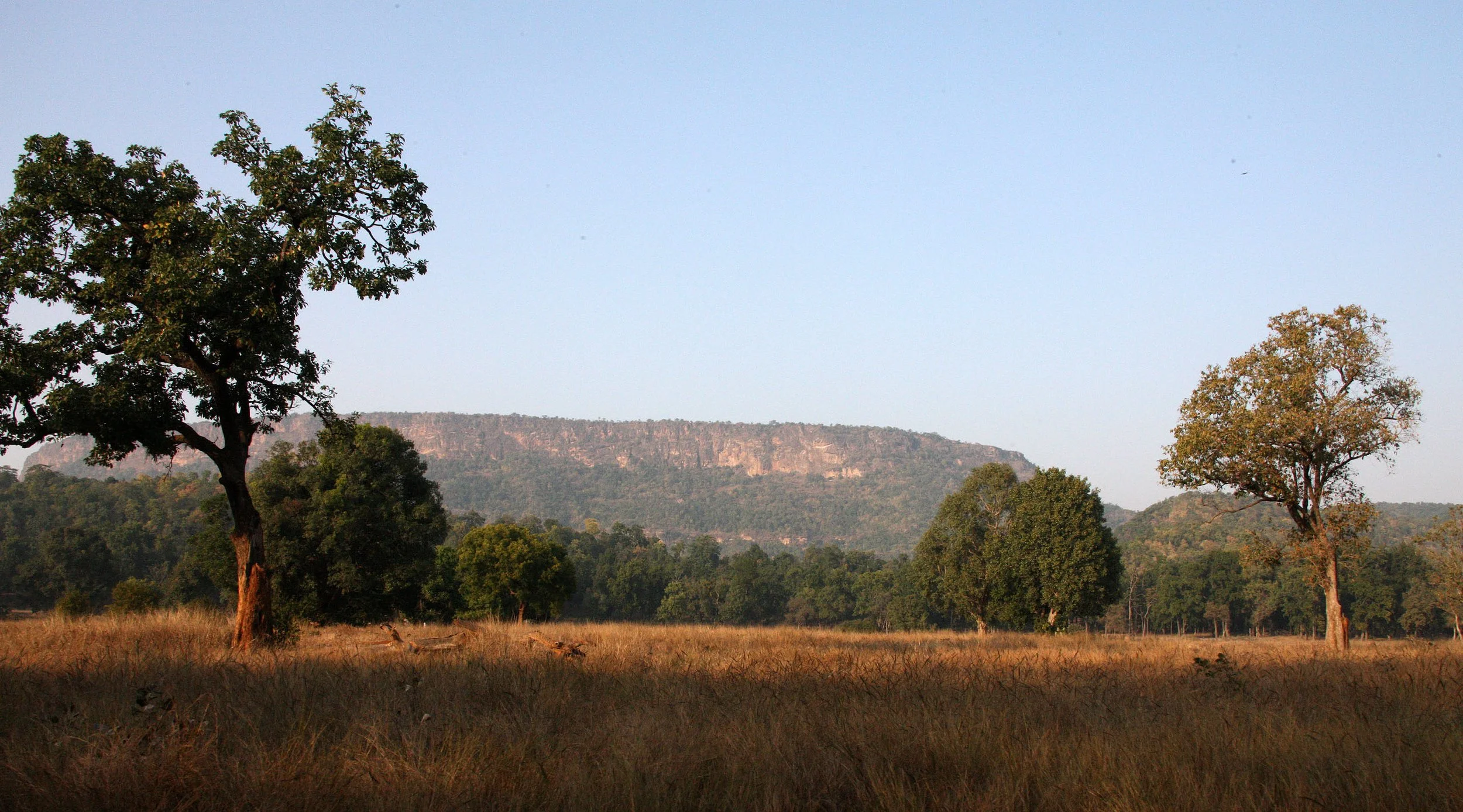 MADHYA PRADESH - BANDHAVGAR NATIONAL PARK MADHYA PRADESH INDIA (12).JPG
