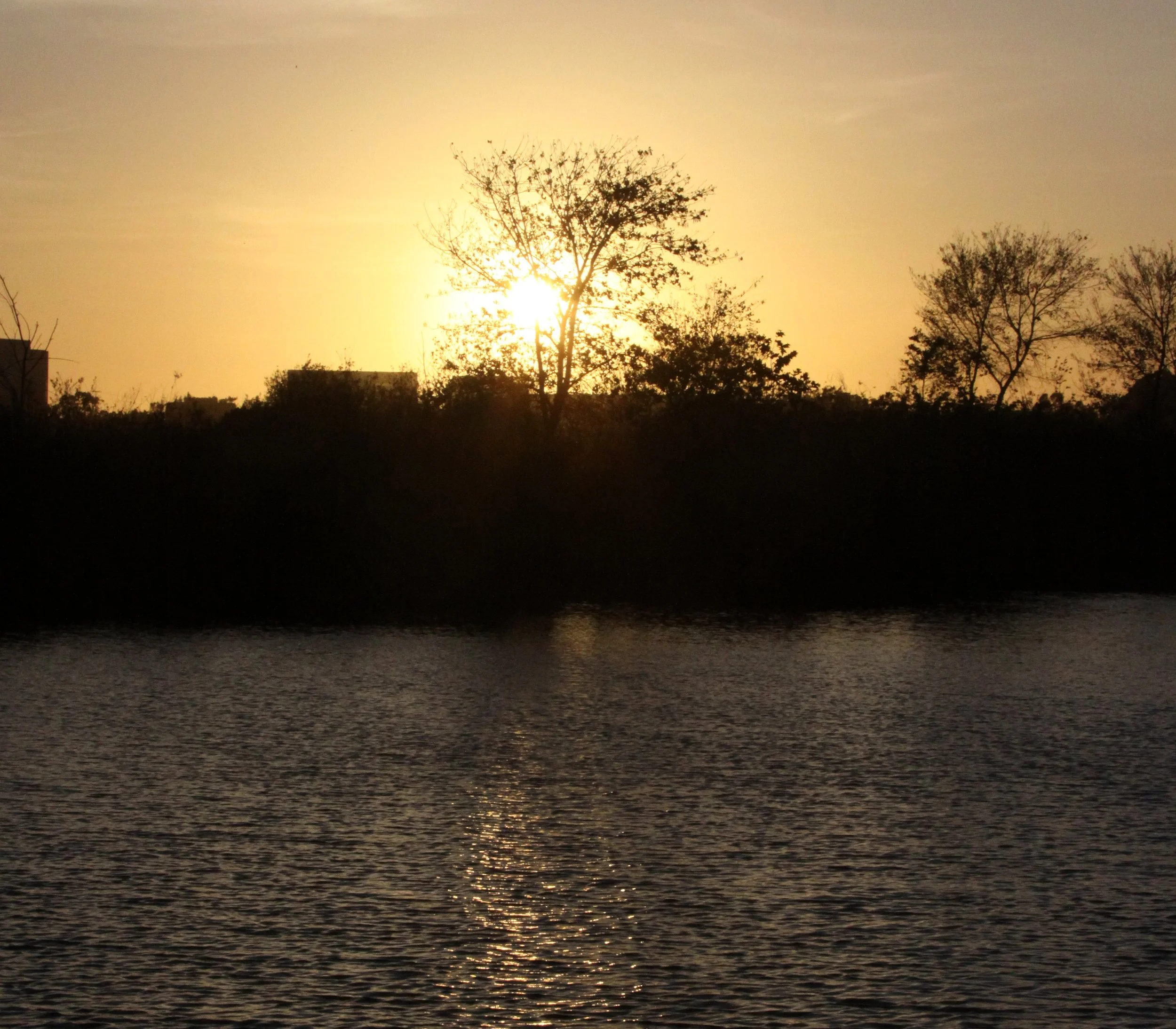 SAN JOAQUIN WILDLIFE RESERVE IRVINE CALIFORNIA - ROADTRIP 2010 (3).JPG