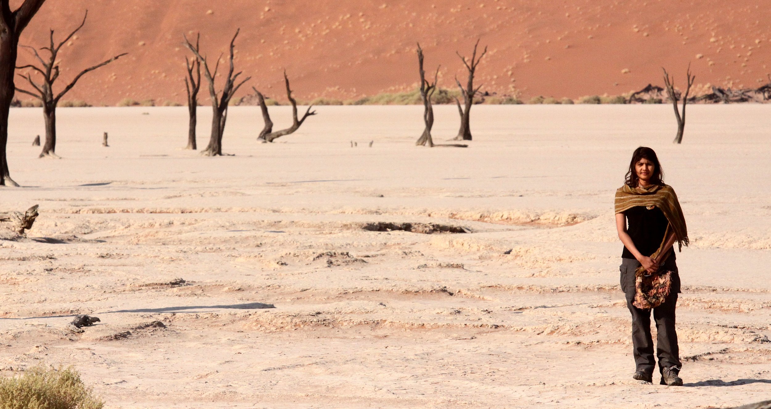 SOSSUSVLEI, NAMIB NAUKLUFT NATIONAL PARK, NAMIBIA - DEAD VLEI (73).JPG