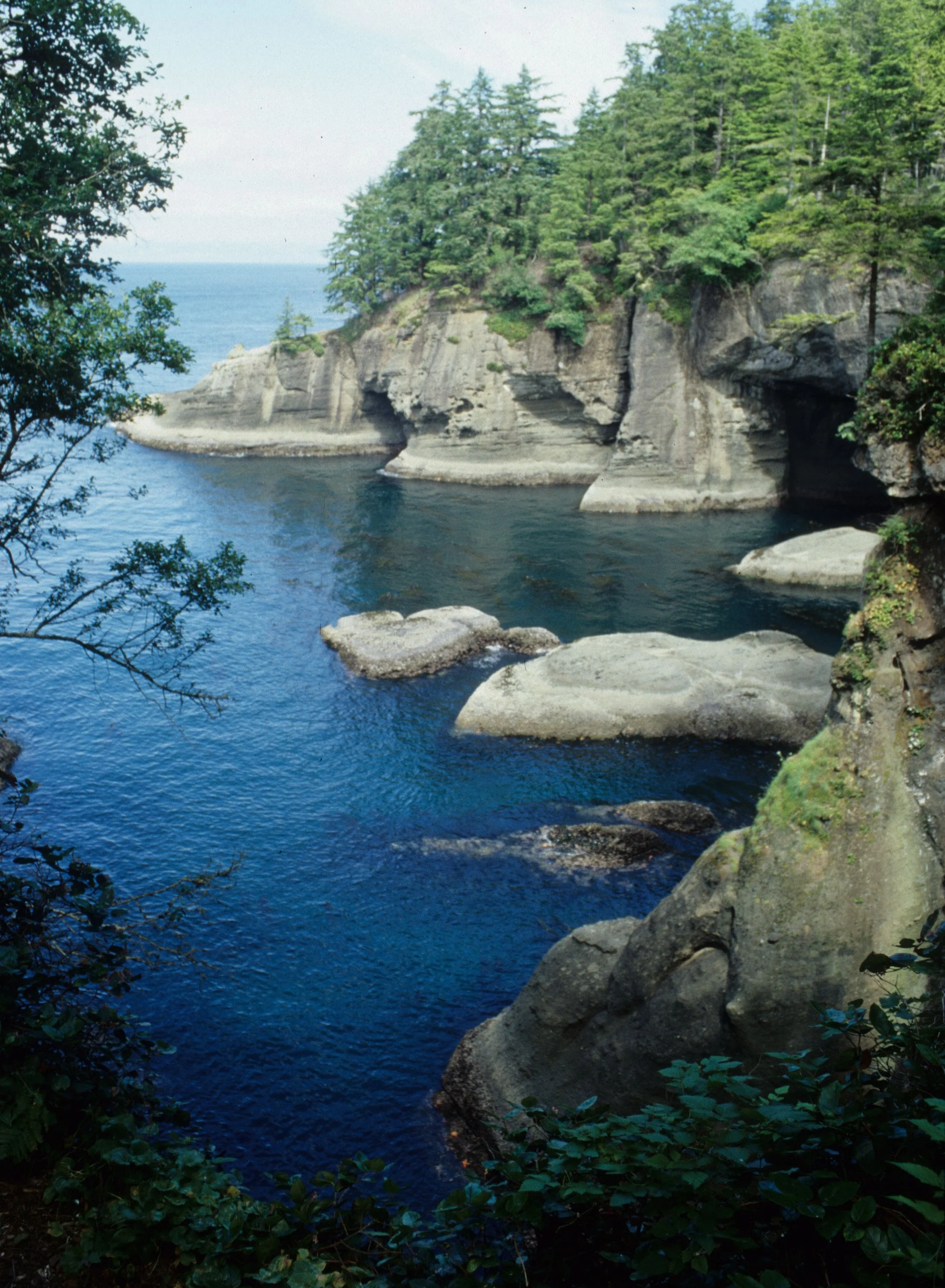 CAPE FLATTERY.jpg