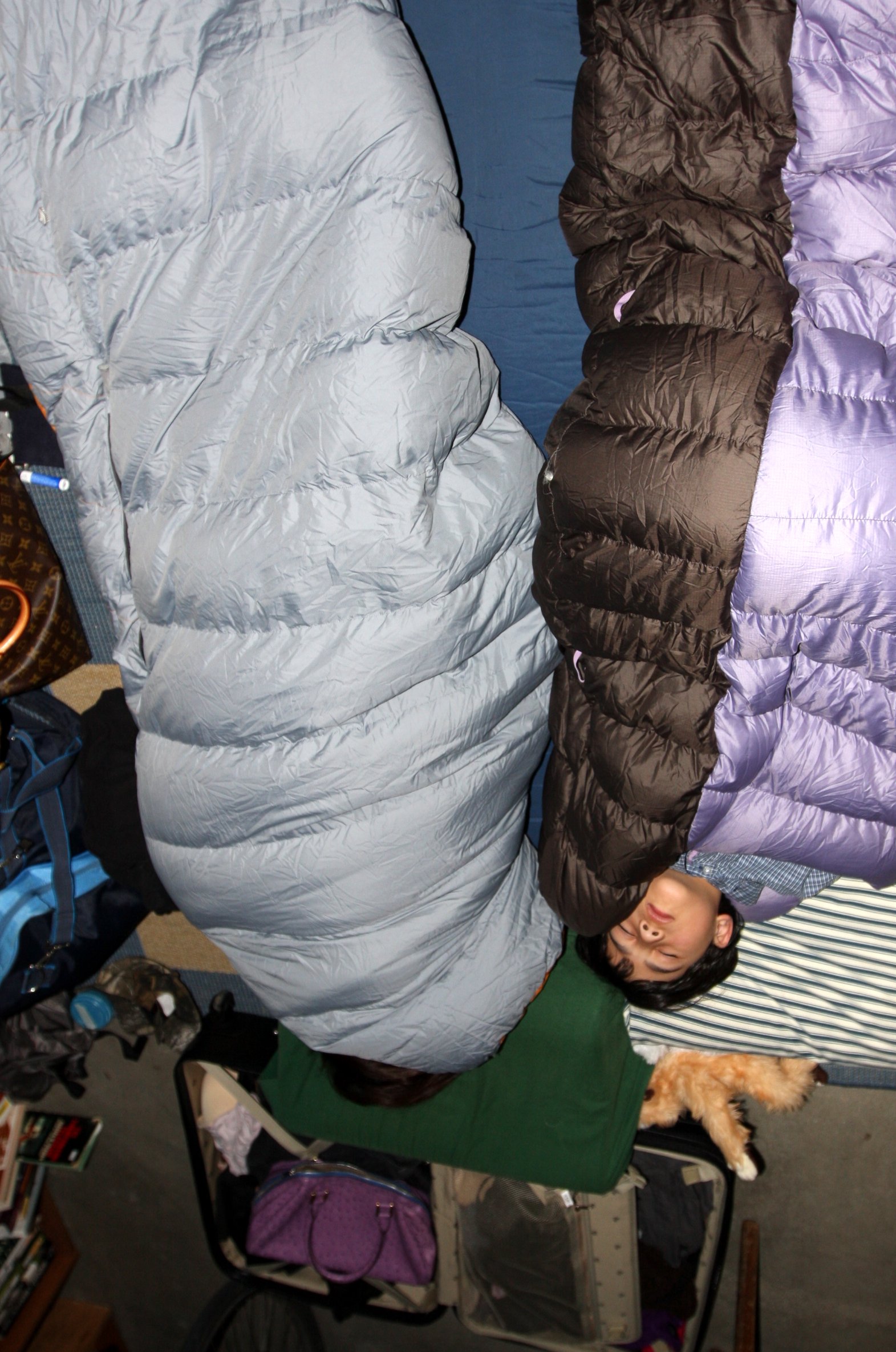 2010-3-28-29 MENDOCINO COAST - ROADTRIP 2010.JPG