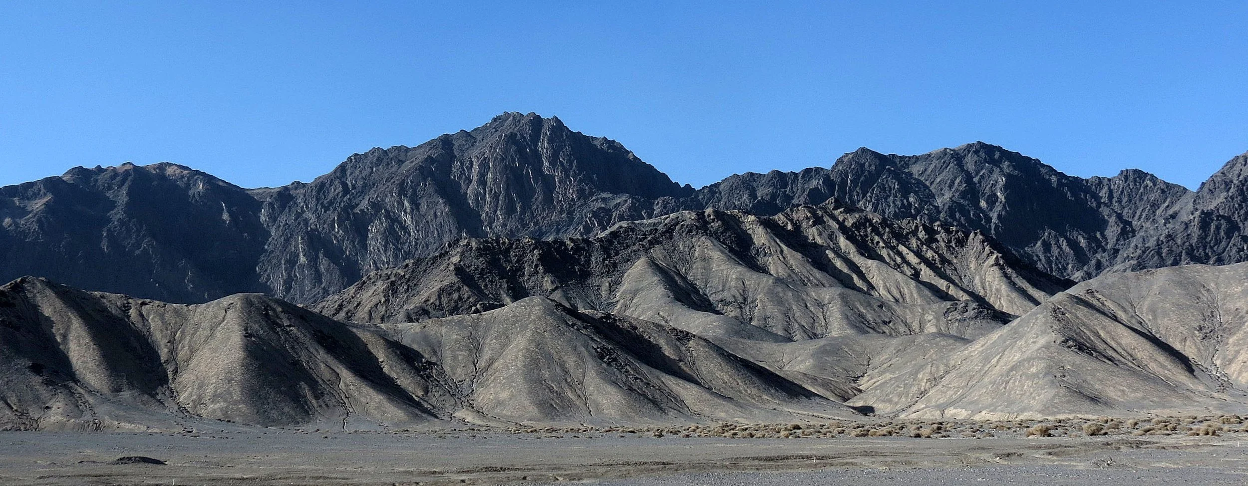 LOP NUR WILD BACTRIAN CAMEL RESERVE - XINJIANG CHINA (74).JPG