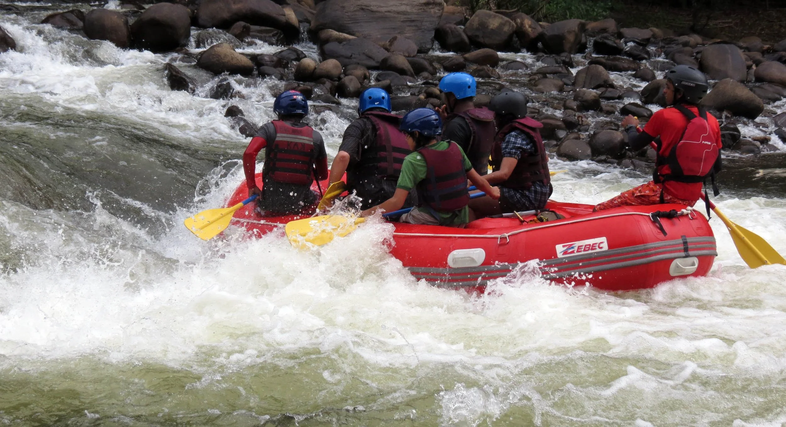 KITULGALA FOREST PRESERVE SRI LANKA (72).JPG