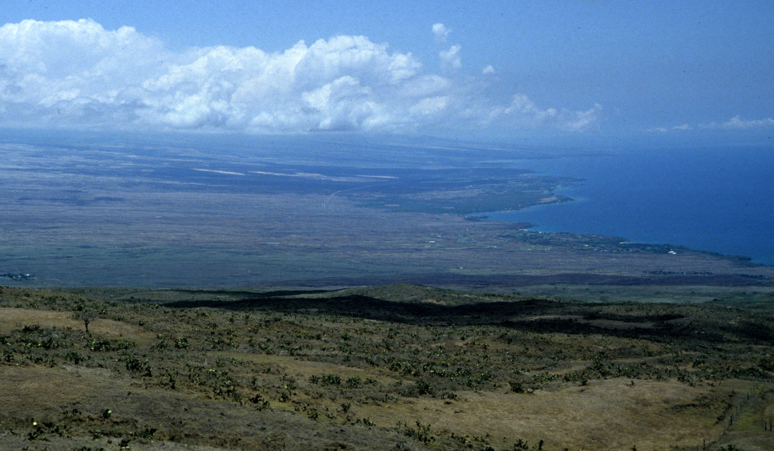 HAWAII - HAWAII - KAU DESERT (2).jpg