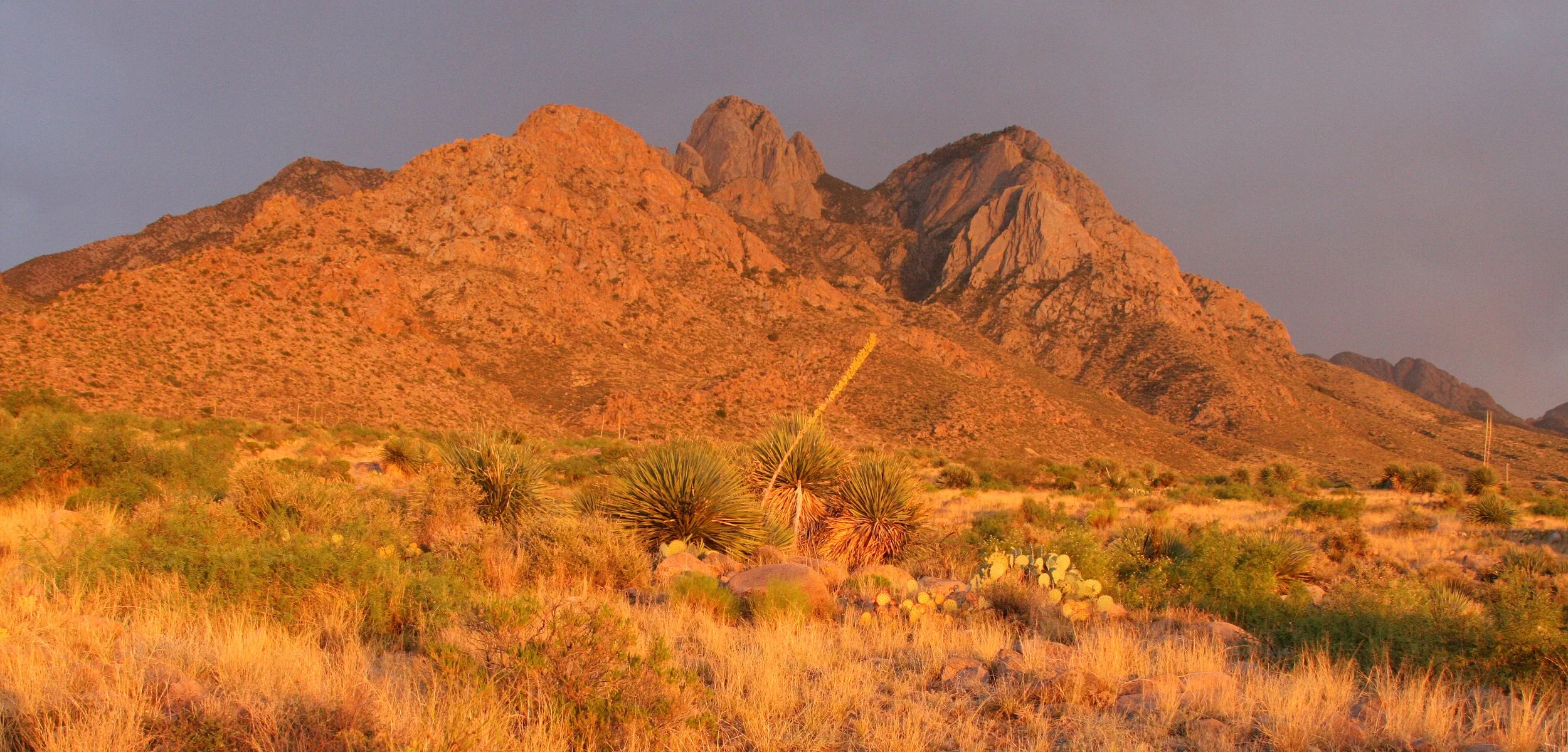 LAS CRUCES NEW MEXICO - ORGAN MOUNTAINS (12).JPG