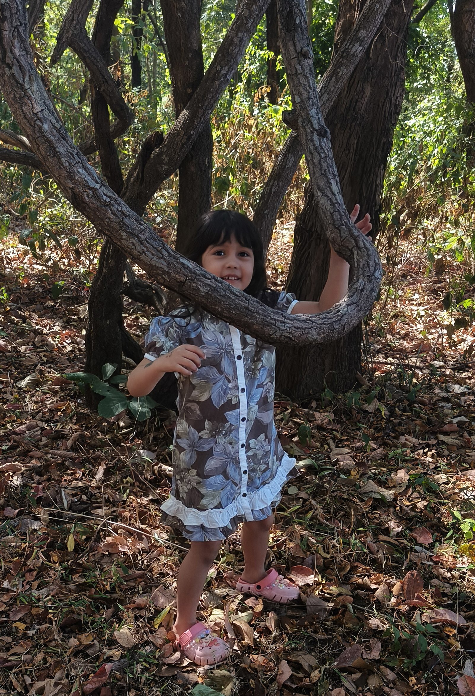 Phu Phan National Park - Kalasin Province (16).jpg