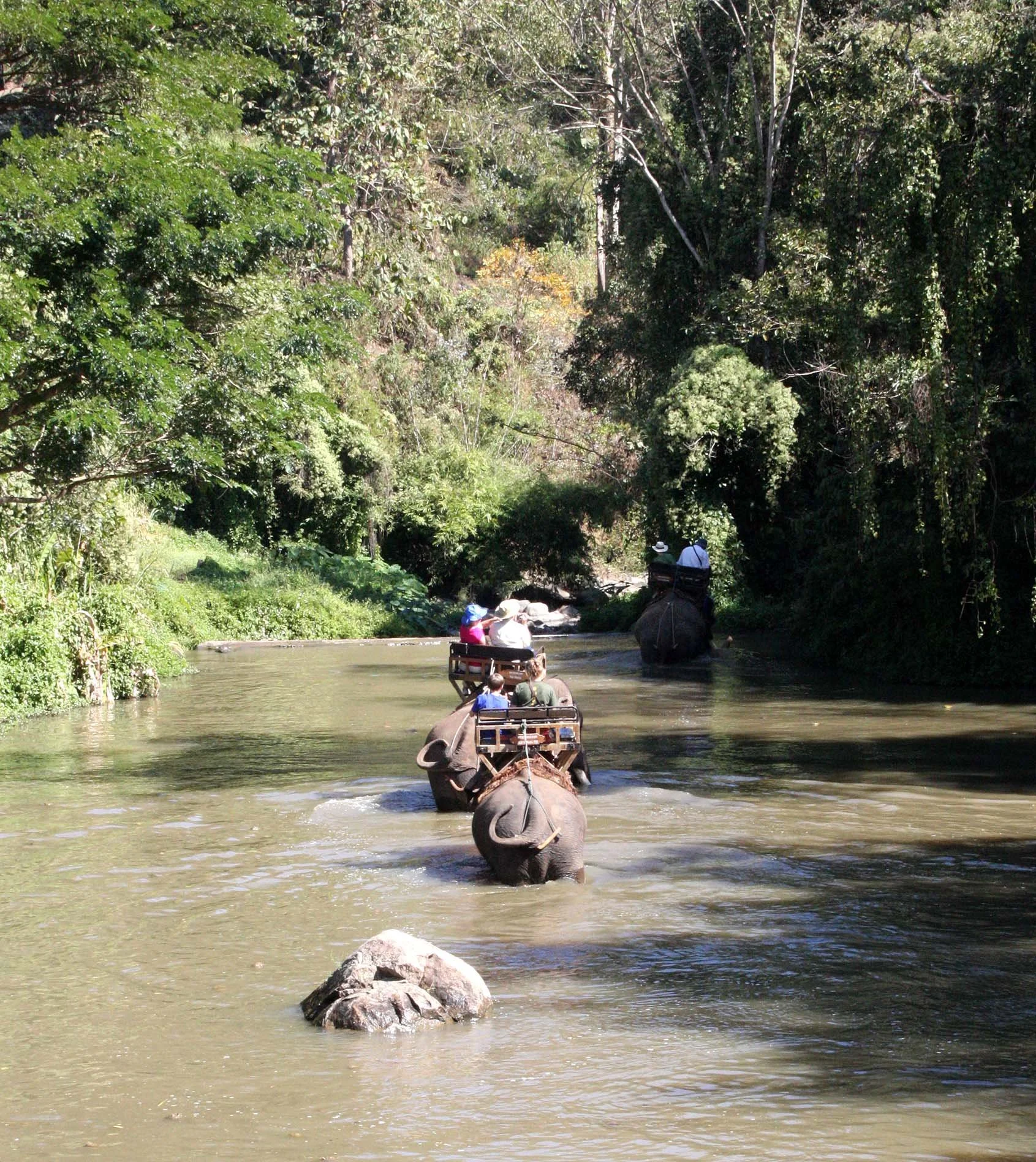 2008 Lampang City & Elephant Center (24).JPG