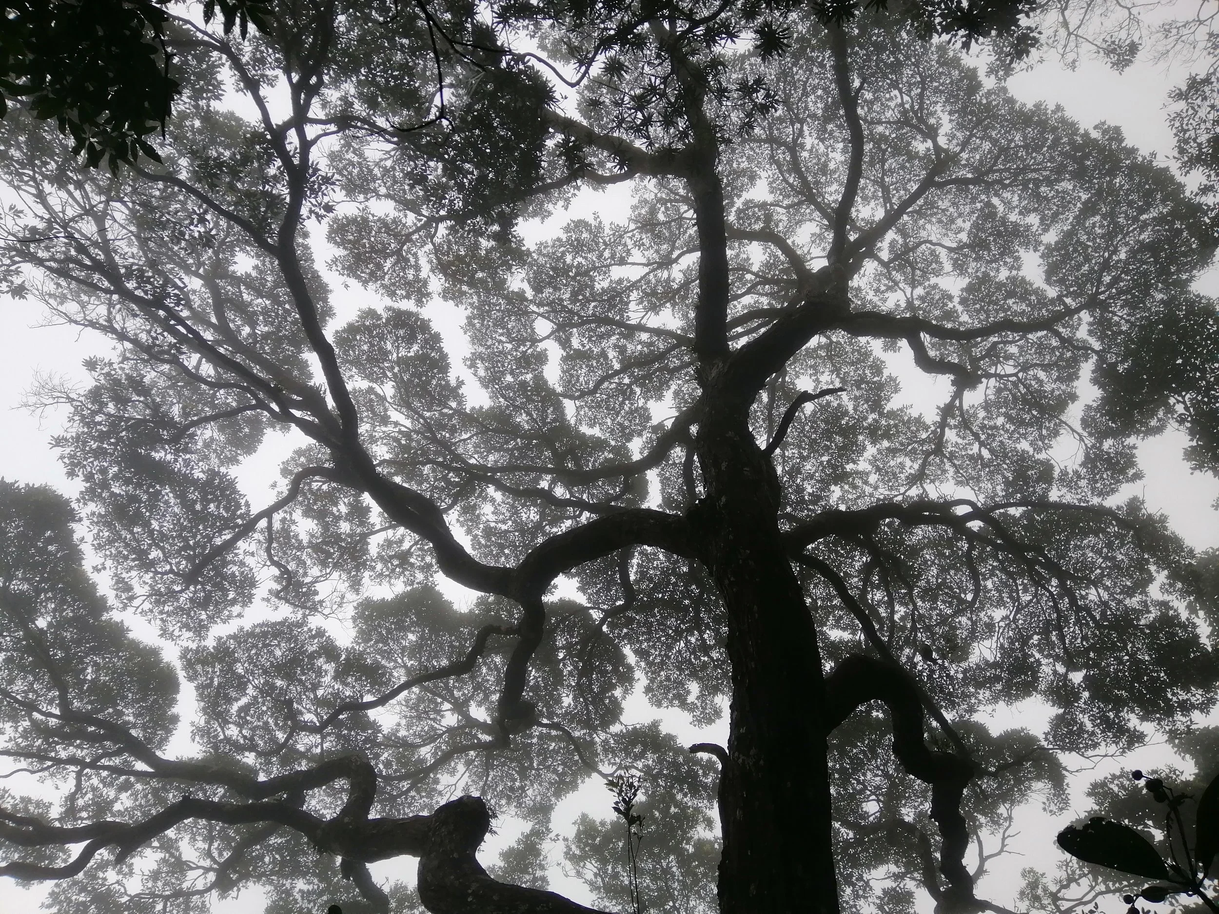 KHAO YAI - PHA DIEW DAI (9).jpg