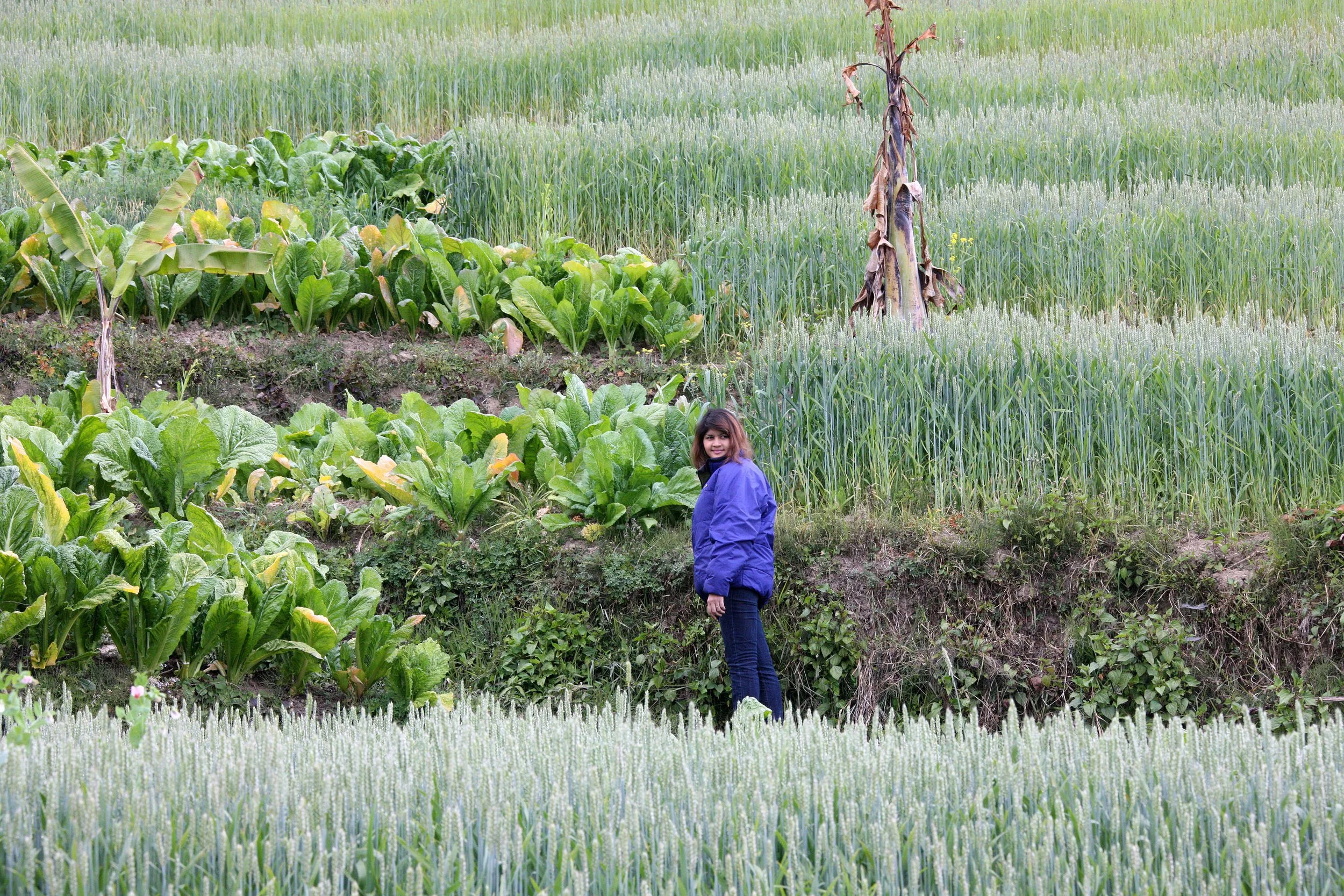YUNNAN - WULIANGSHAN NATURE RESERVE AND SURROUNDING REGION (8).JPG